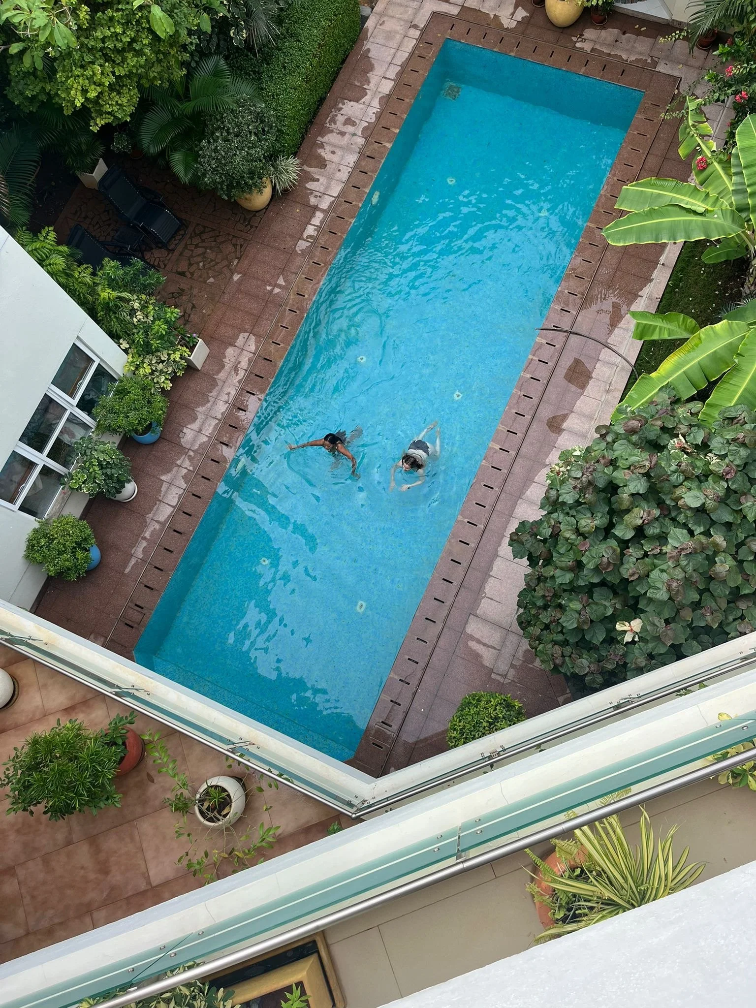 A high-angle view of a rectangular swimming pool with two people swimming, surrounded by lush green plants, trees, and potted plants on a tiled patio. The photo appears to be taken from a balcony of an adjacent building.