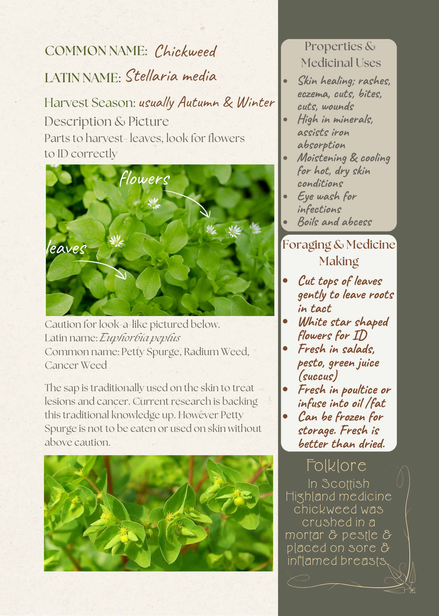 herb info page.png