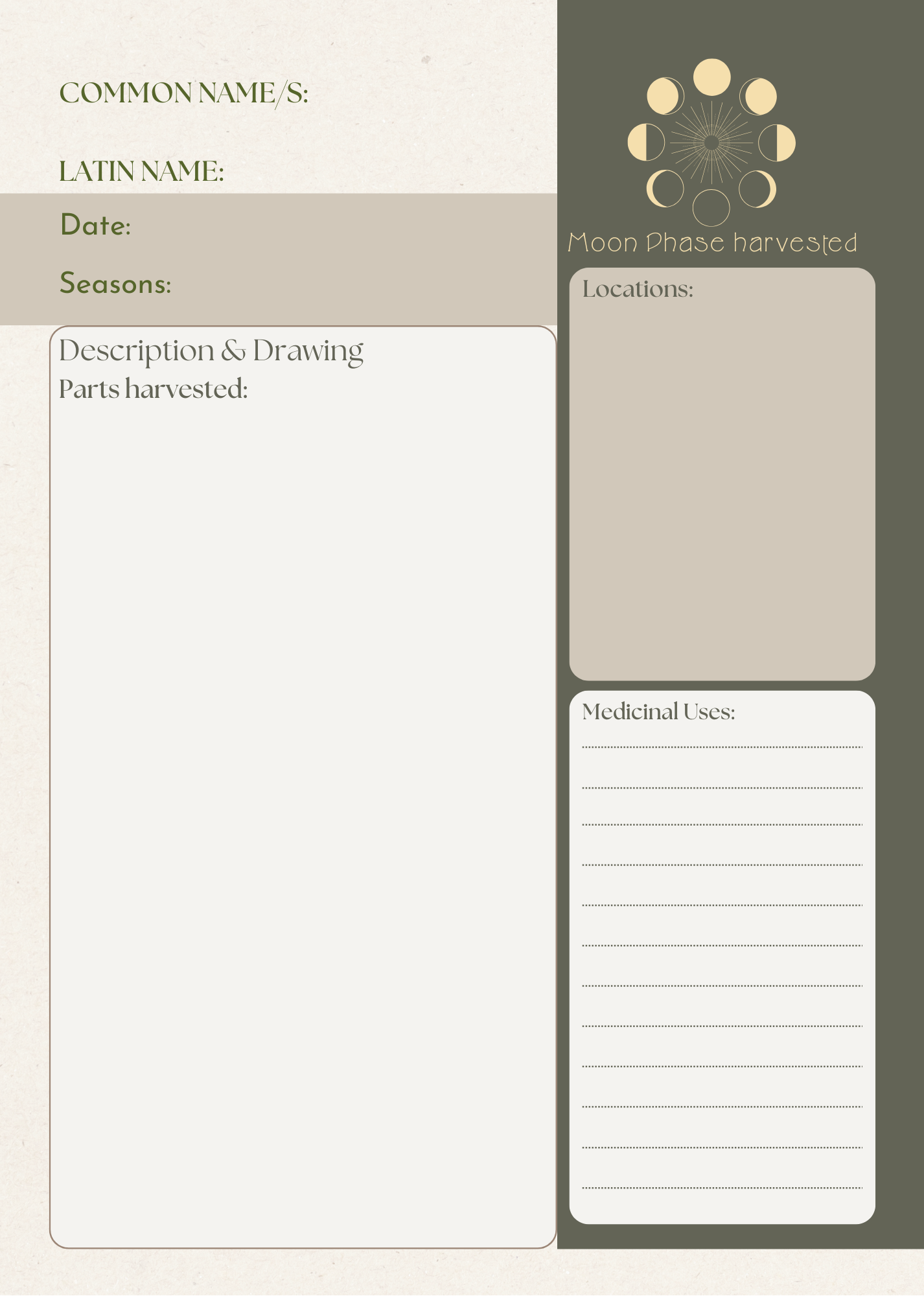 foraging journal page.png
