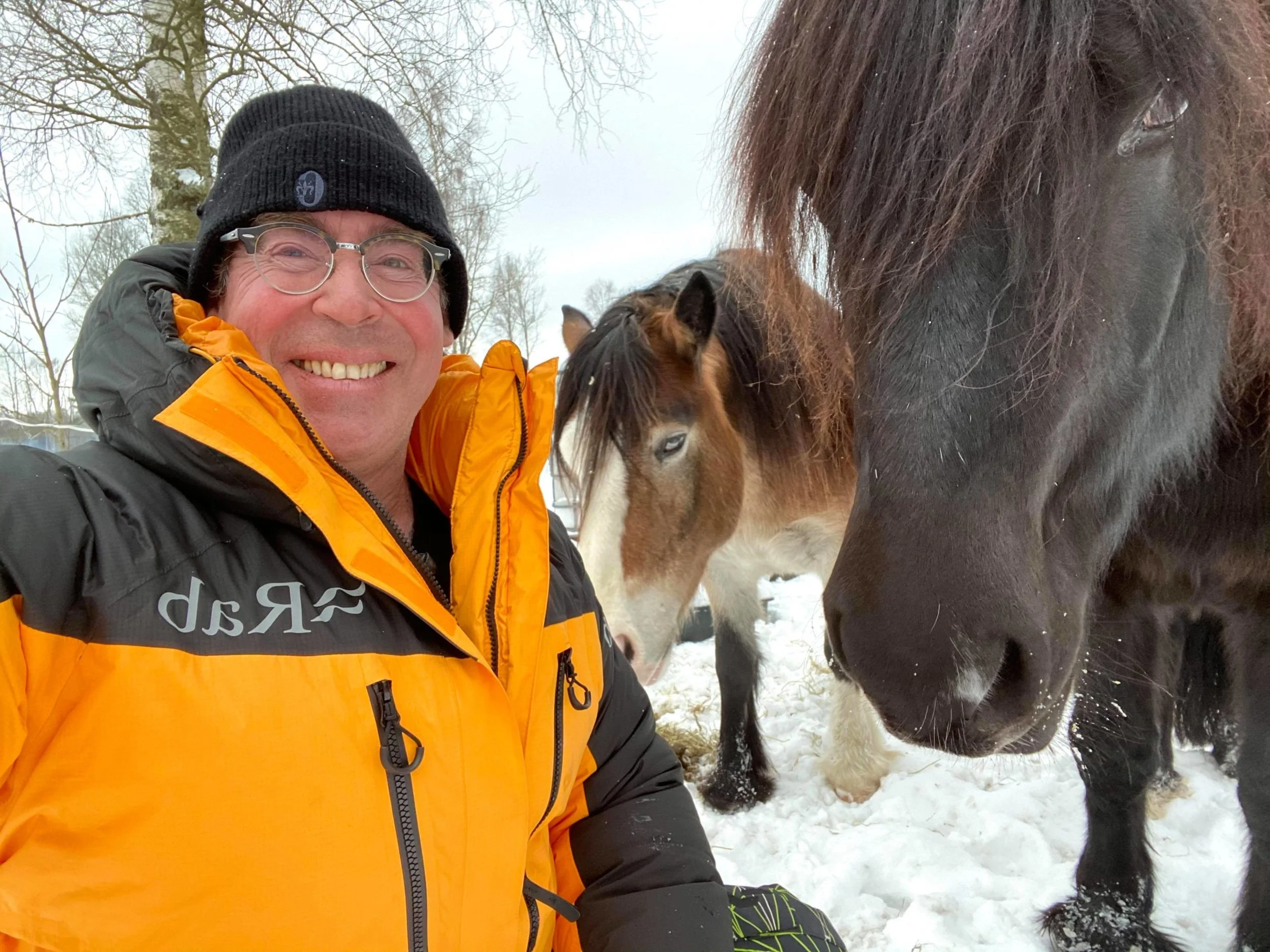 Terapi med hest