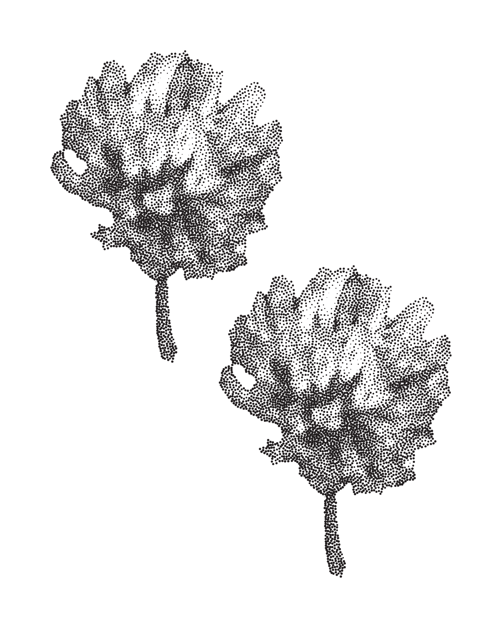 A digital artwork of multiple roses created with tiny dots on a black background.