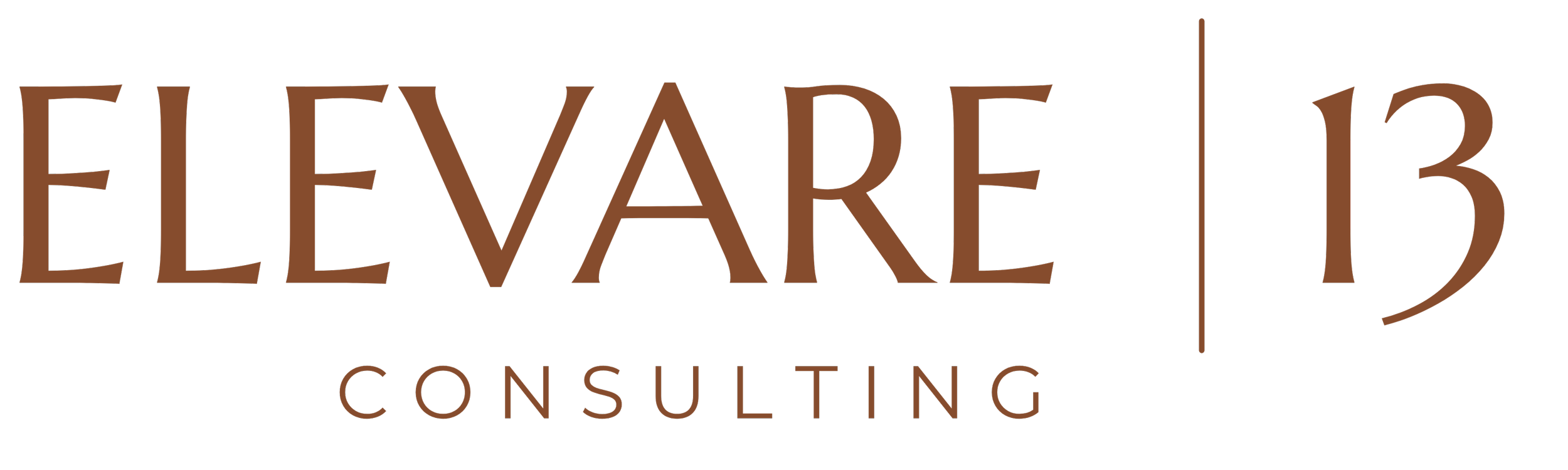 Elevare 13 Logo