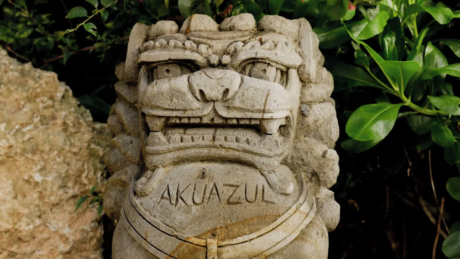 akuazul_general_1736250371.webp