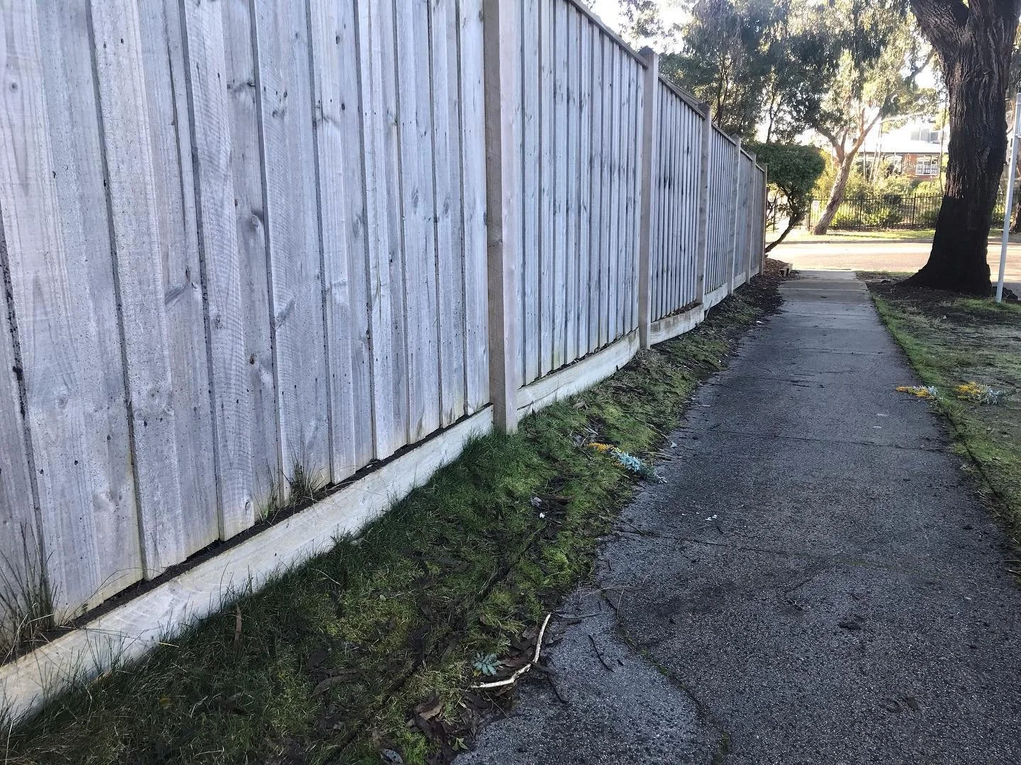 Swipe to see the recent transformation. Crazy to see how simply refining the edges can improve the aesthetics of a lawn so much!  #lawntransformation #lawnedges #satisfying #frankston #mteliza #mornington #morningtonpeninsula #lawnmowing
