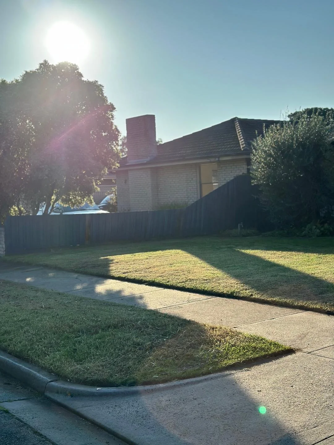 Overgrown lawn in Frankston after