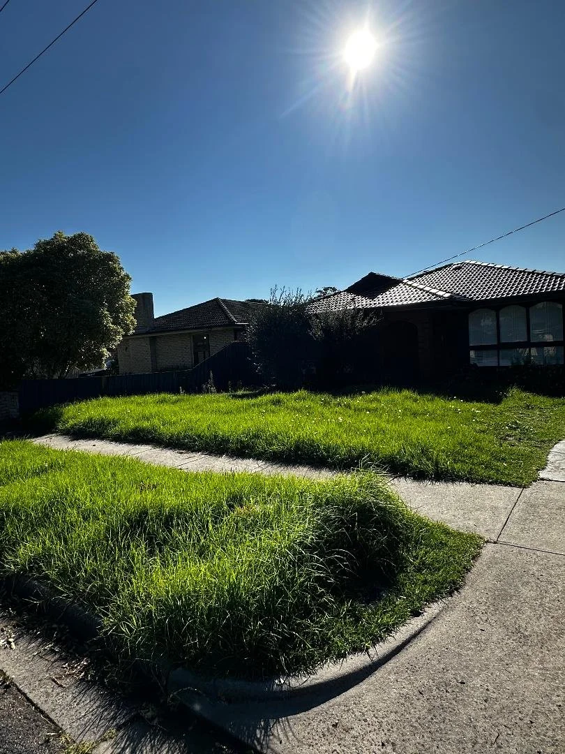 Overgrown lawn in Frankston before