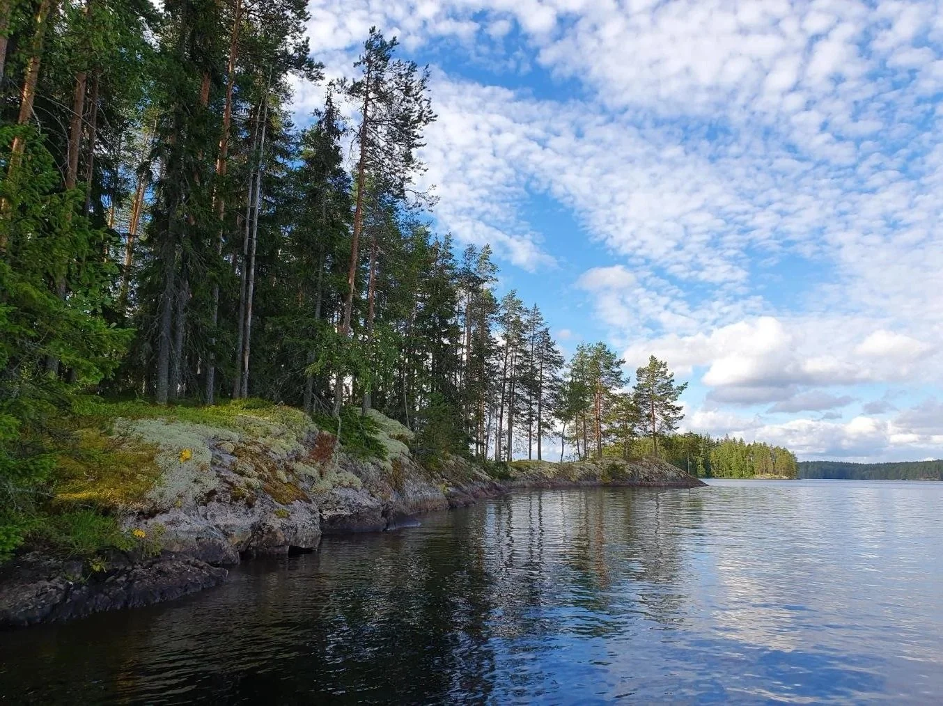 Rantametsä rannan vierellä, näkyy kiviä ja vesi, taivaalla pilviä ja sinistä taivasta.