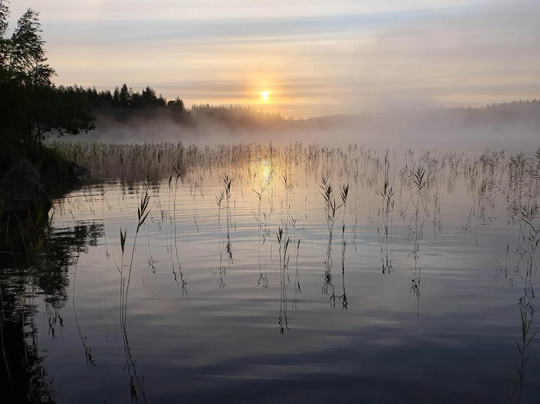 Sunrise and mist on Lake Ilmajärvi in the summer.