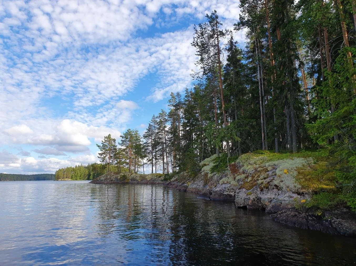 Jäkälöitynyttä kalliota, jonka päällä nuoria mäntyjä järven rannalla