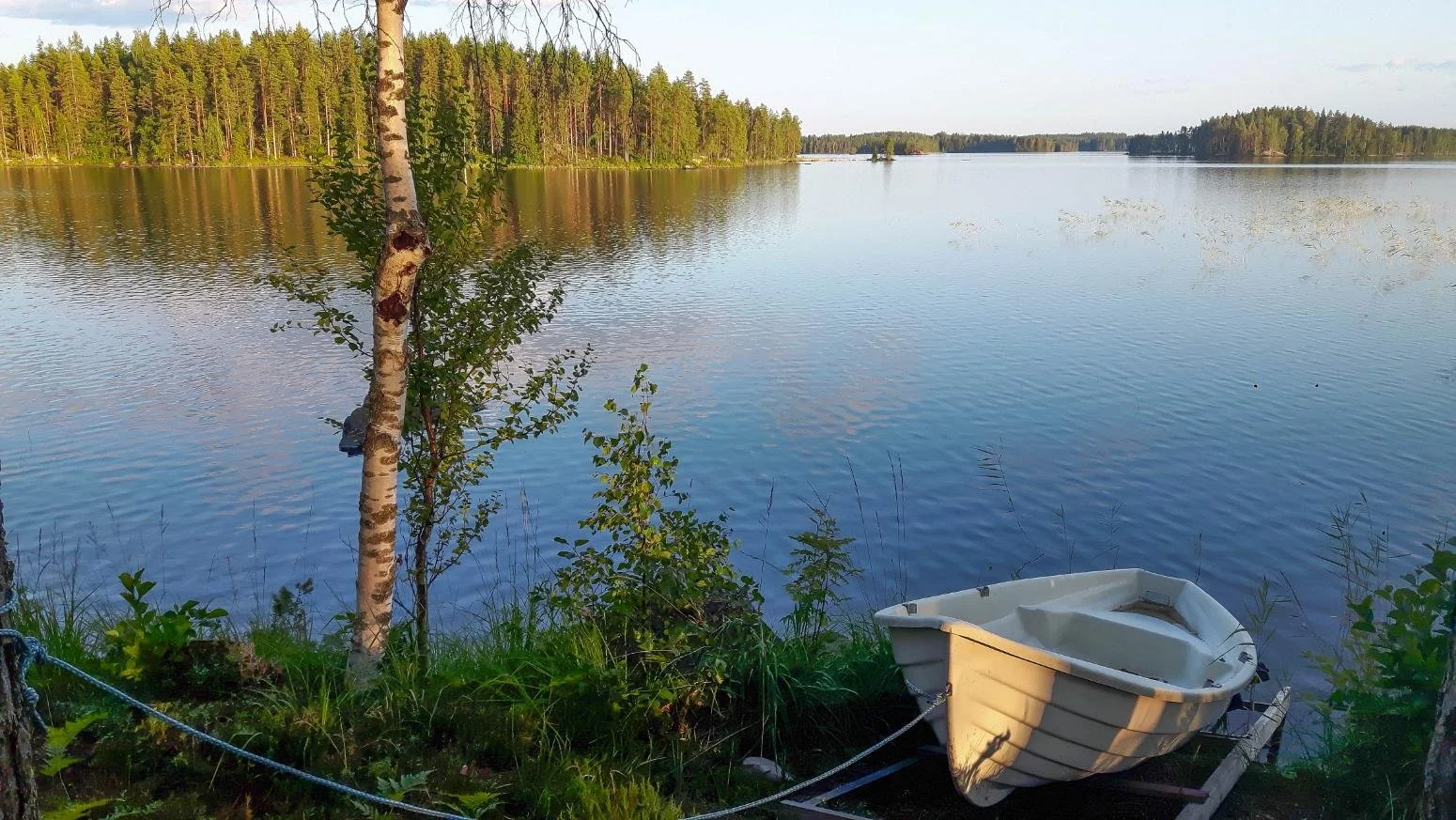 Kesäillan maisema järvenrannasta, soutuvene ja koivu.
