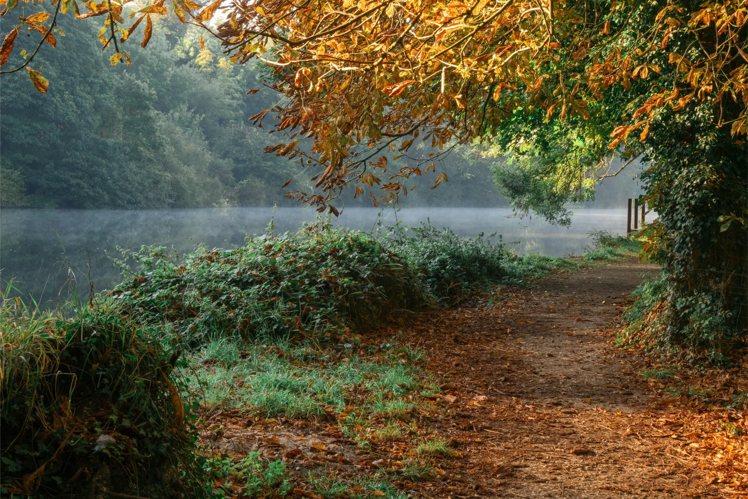 A dirt path winding alongside a foggy river, surrounded by trees with colorful autumn leaves.
