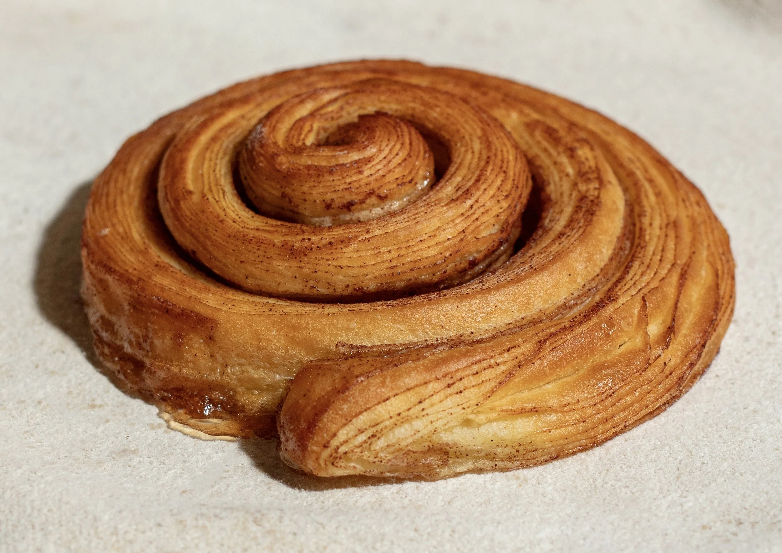 Cinnamon Roll
