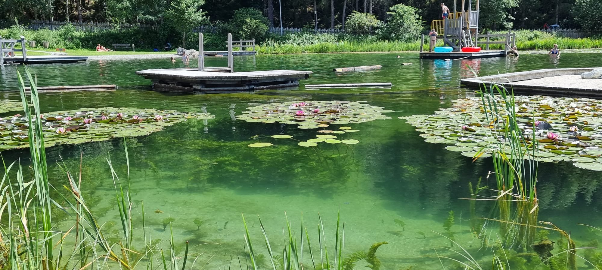 אגם רחצה אומאהוזן Badesee Unhausen