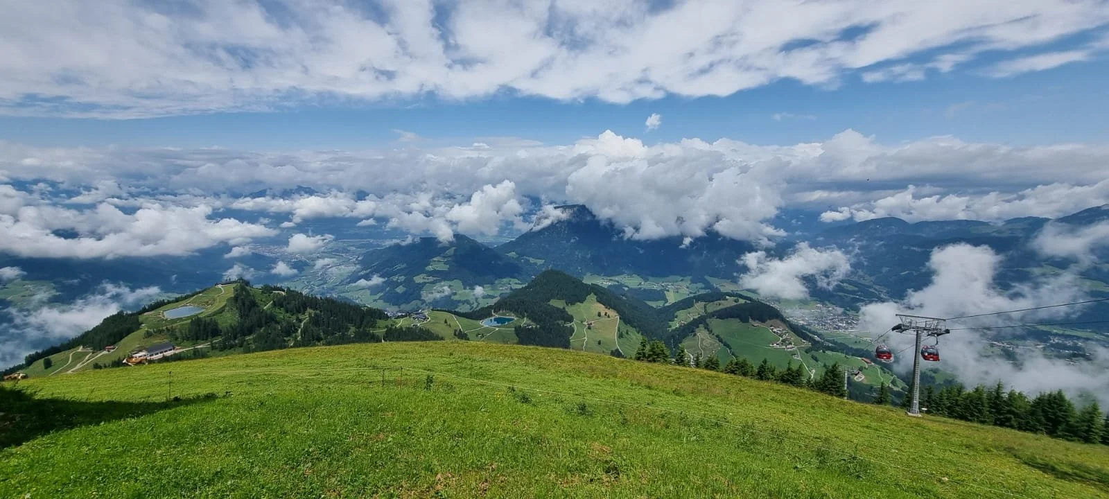 שיחת ייעוץ ממוקדת
