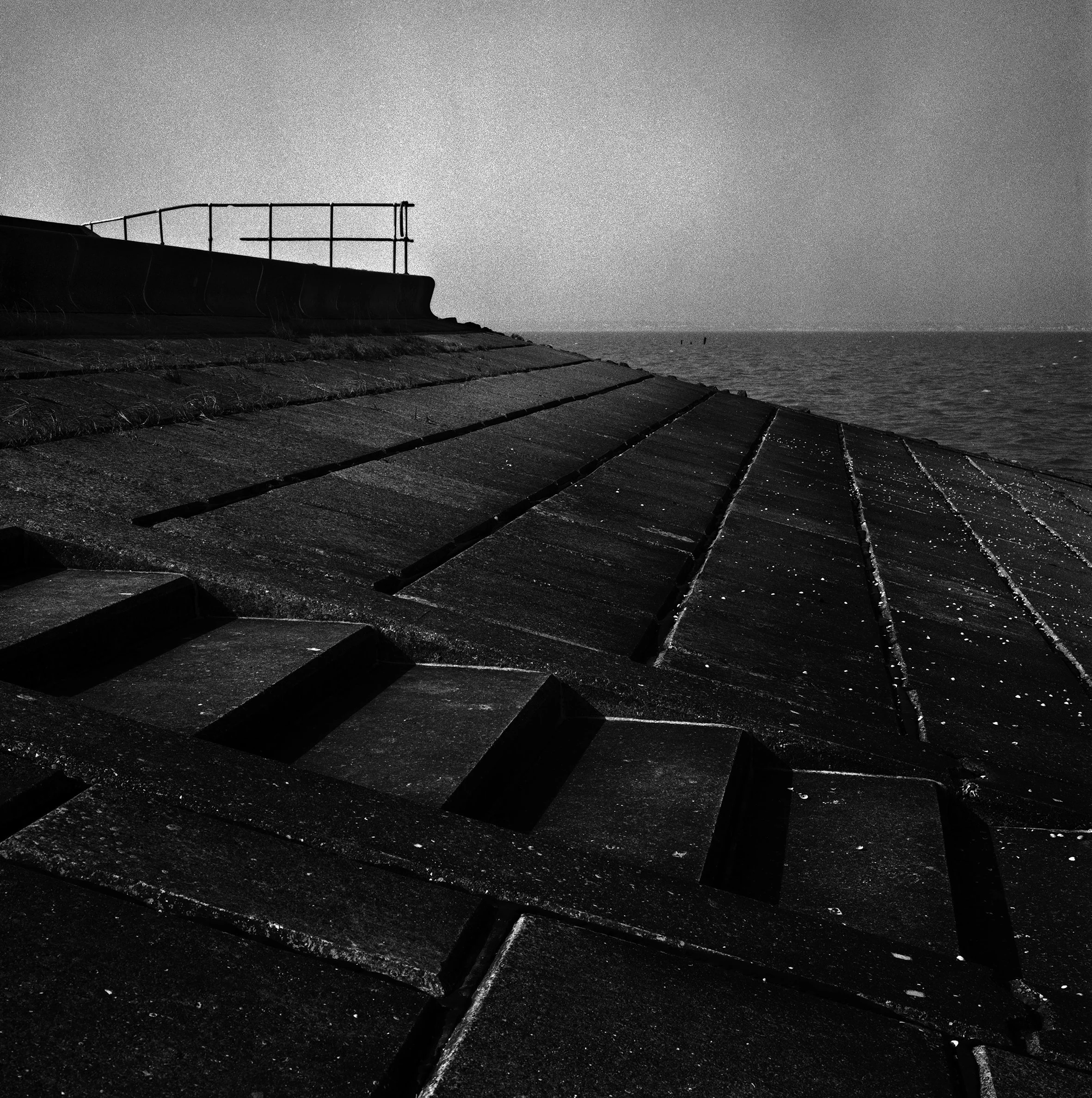 24 Grain adj copy.jpg