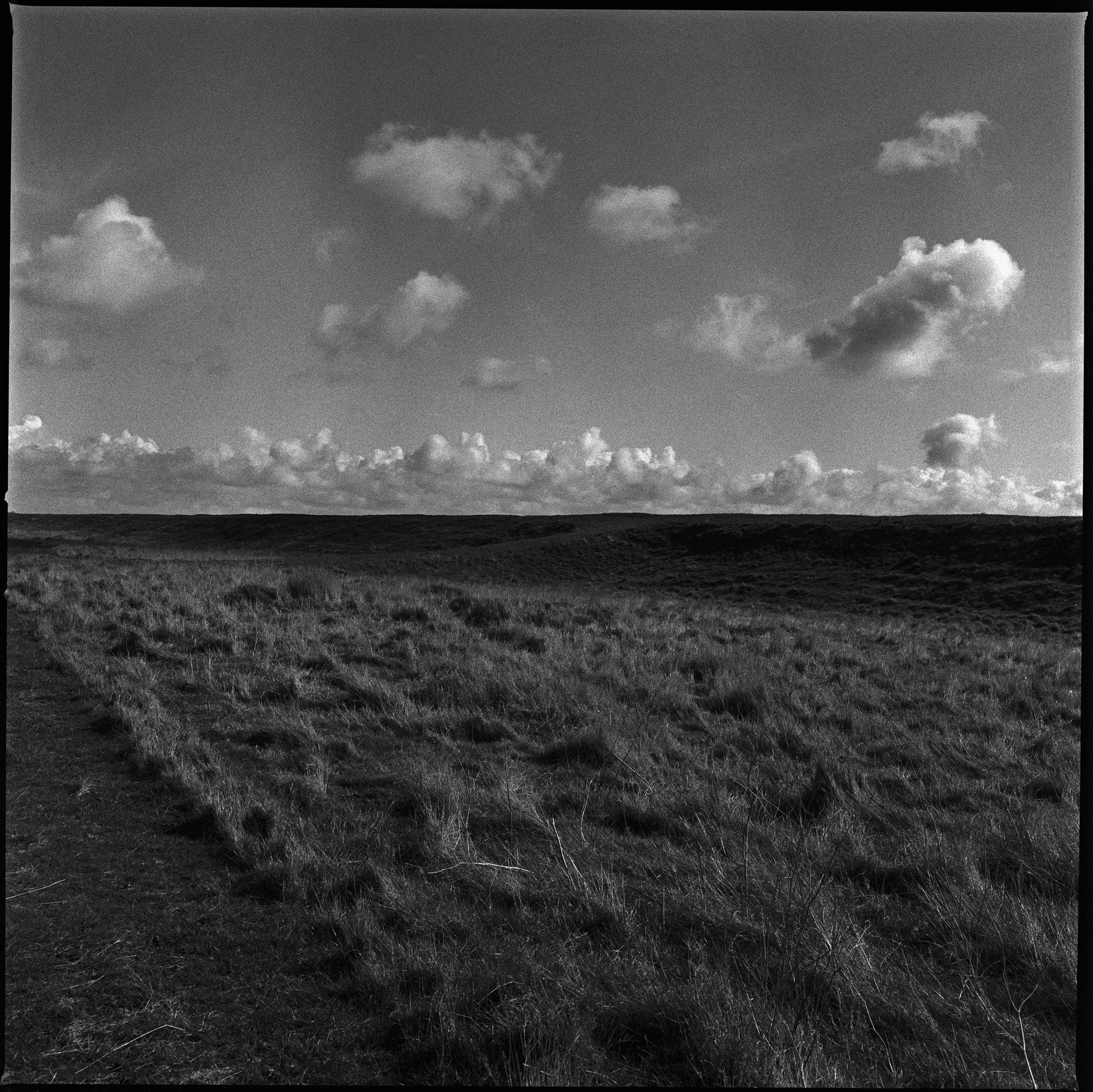 07 Elmley adj  copy.jpg