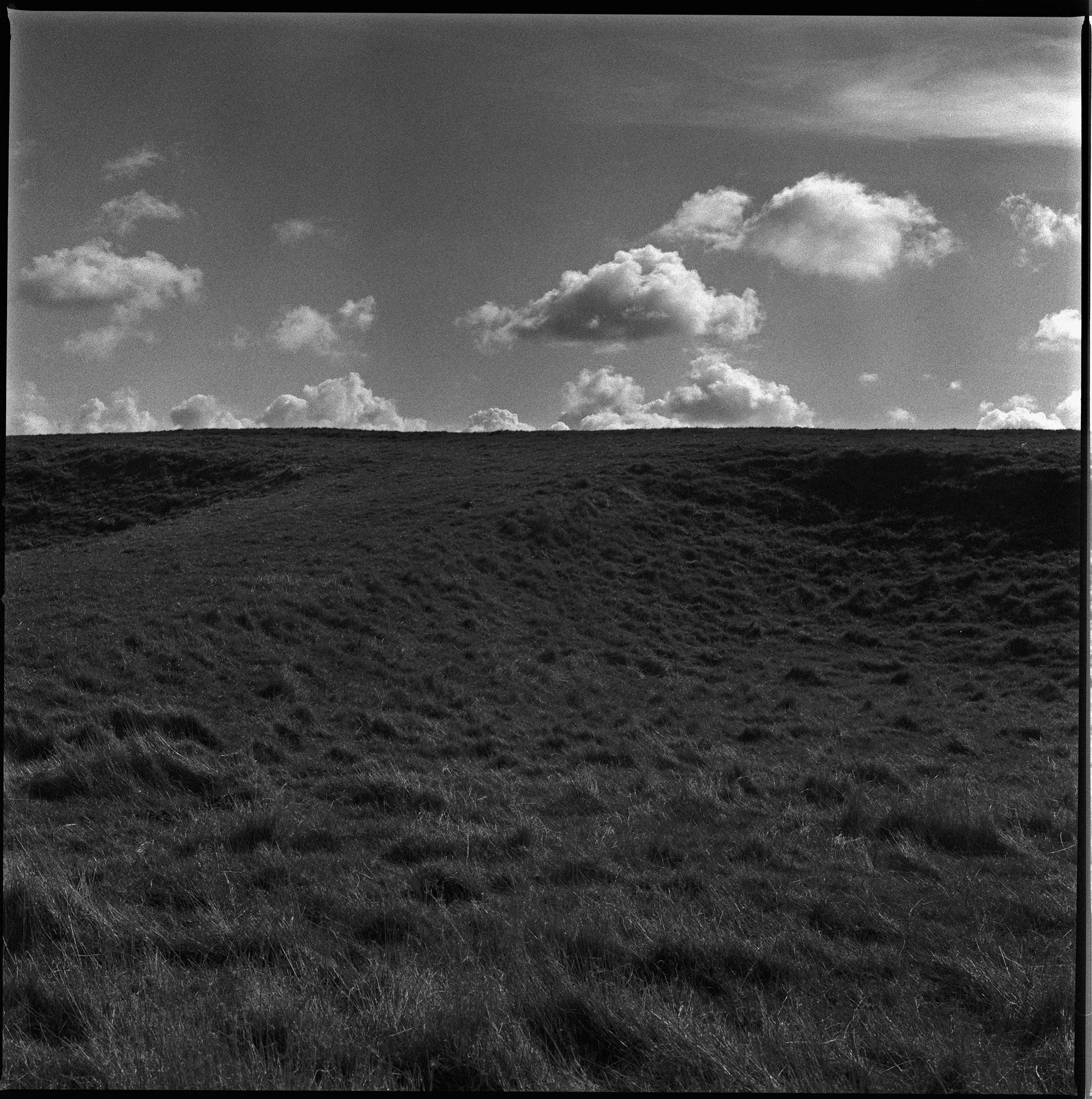 04 Elmley adj copy.jpg