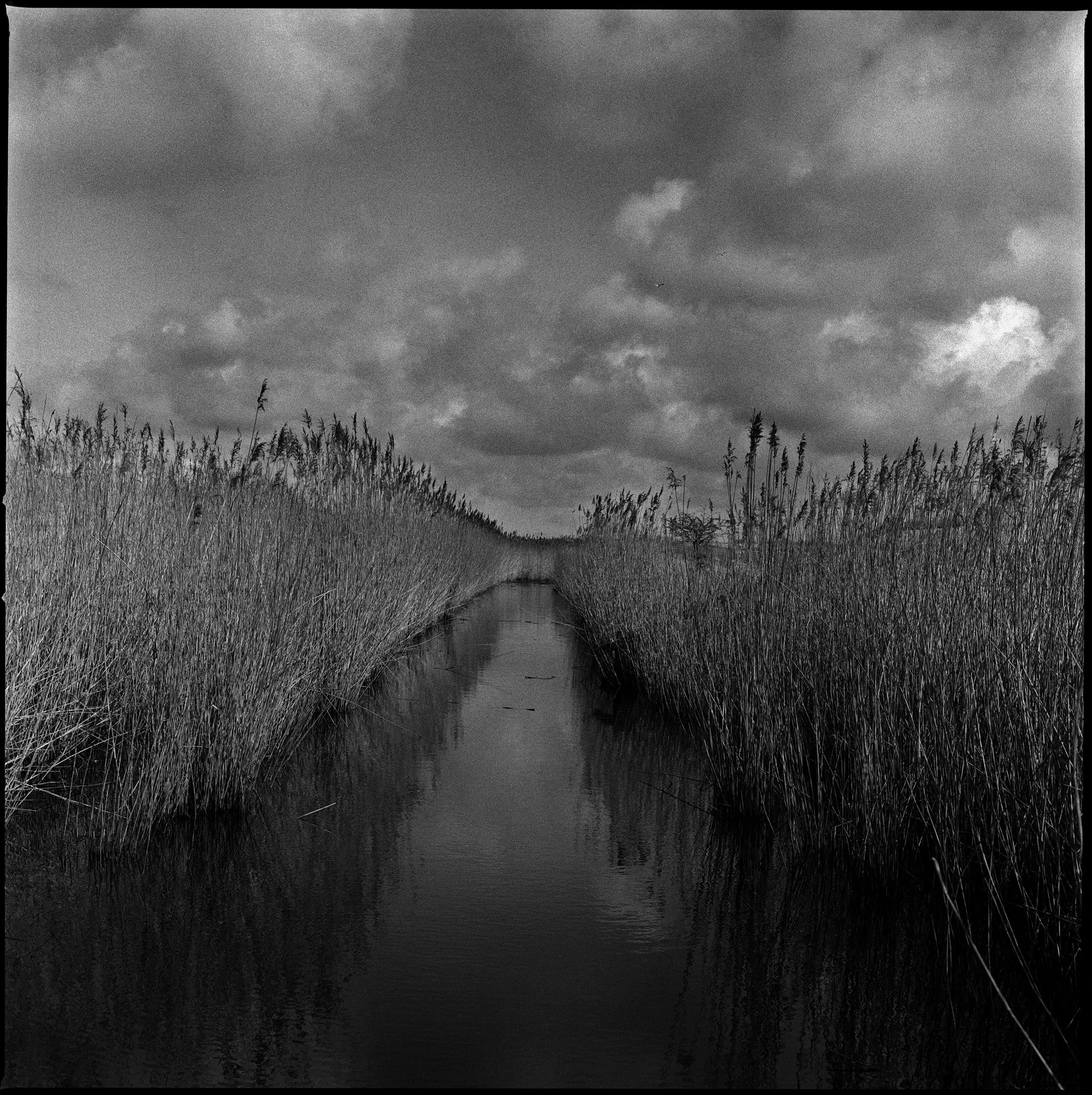 06 Elmley adj copy.jpg