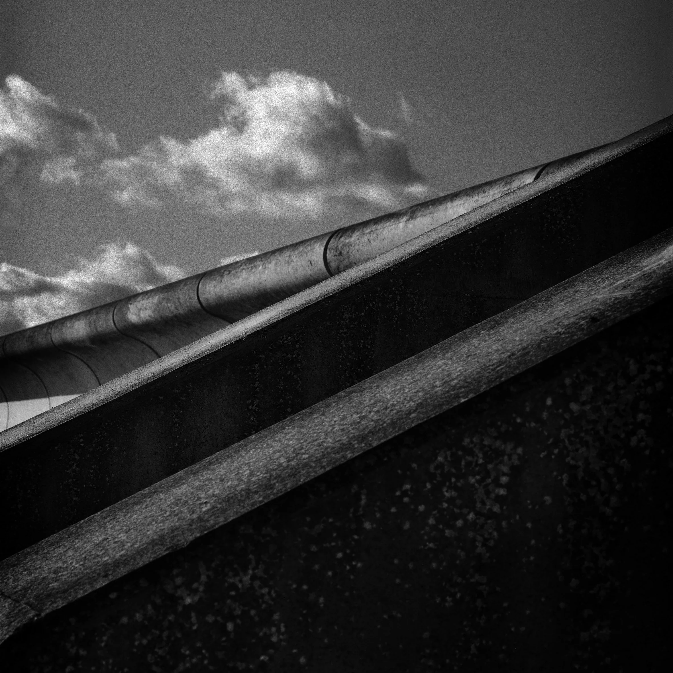 217 adj DOTR copy.jpg