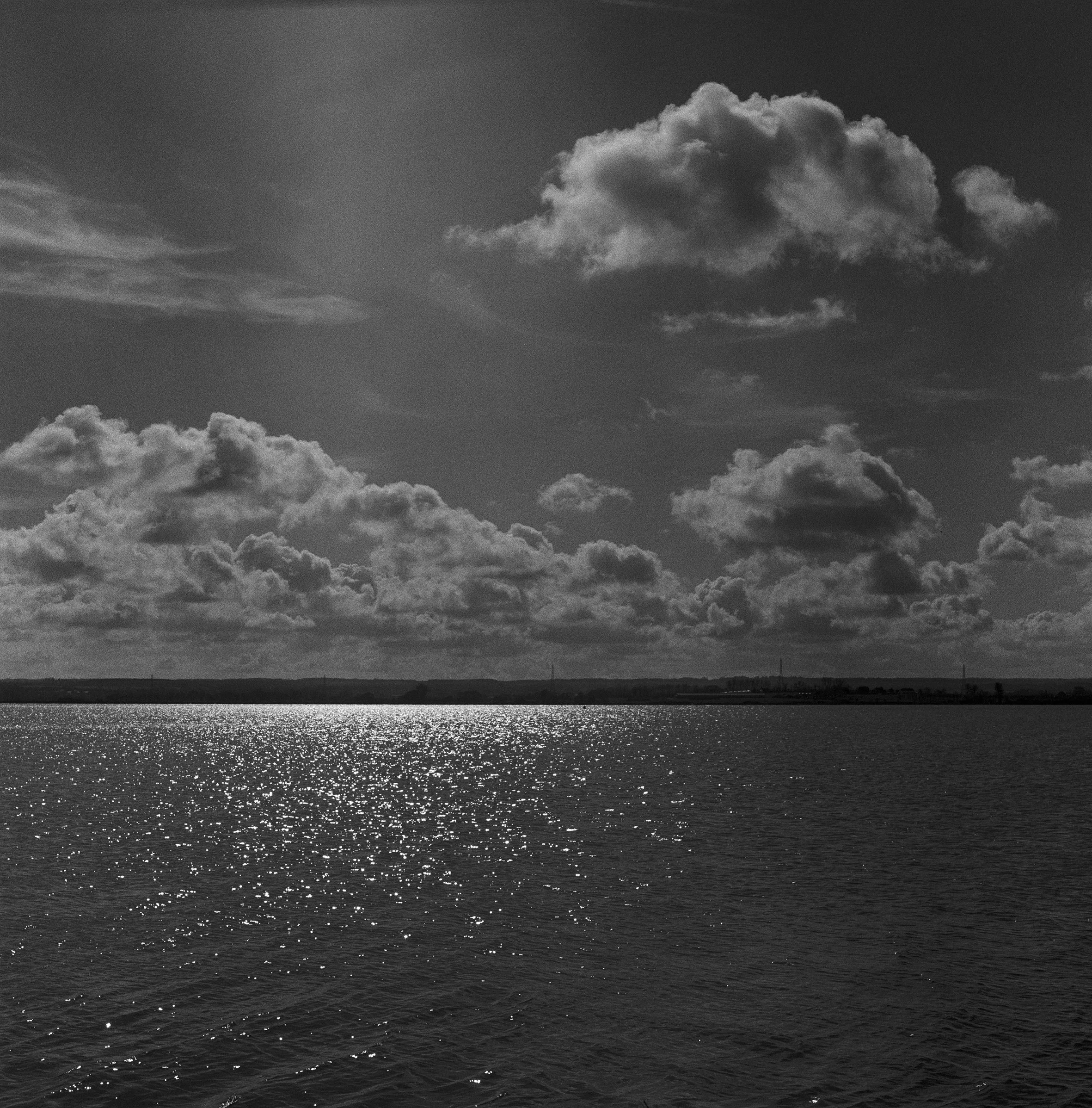 05 Elmley adj copy.jpg