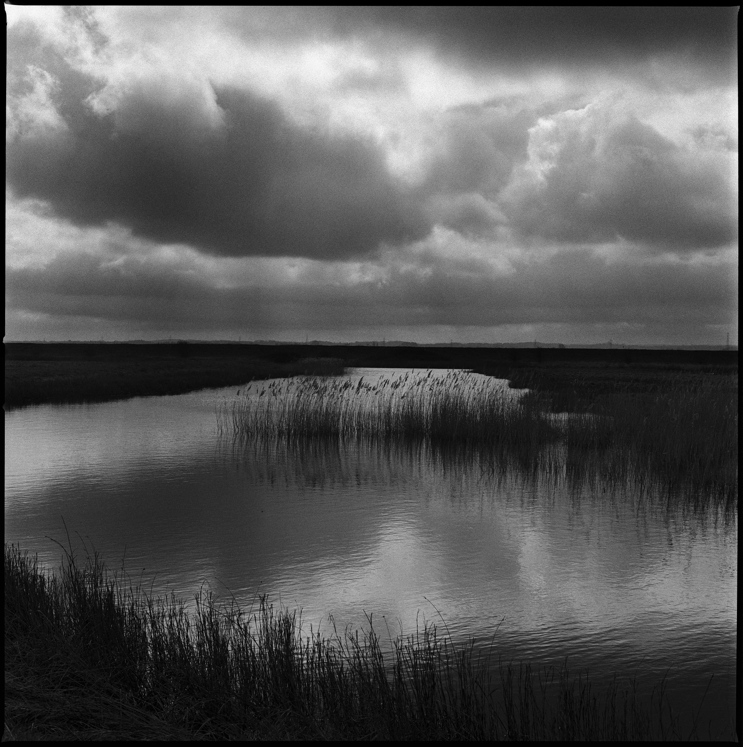 02 Elmley adj copy.jpg