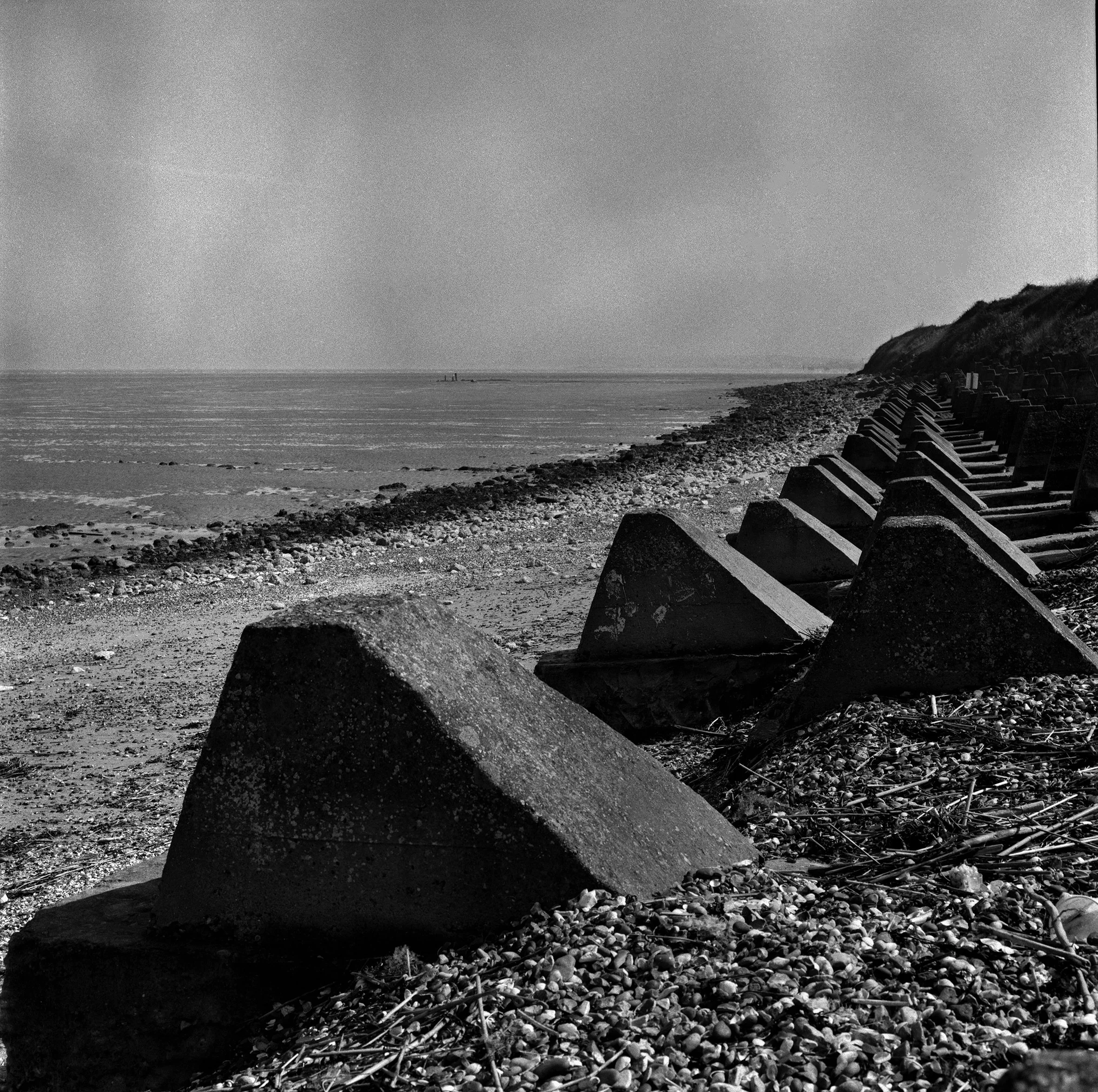 07 Grain adj copy.jpg