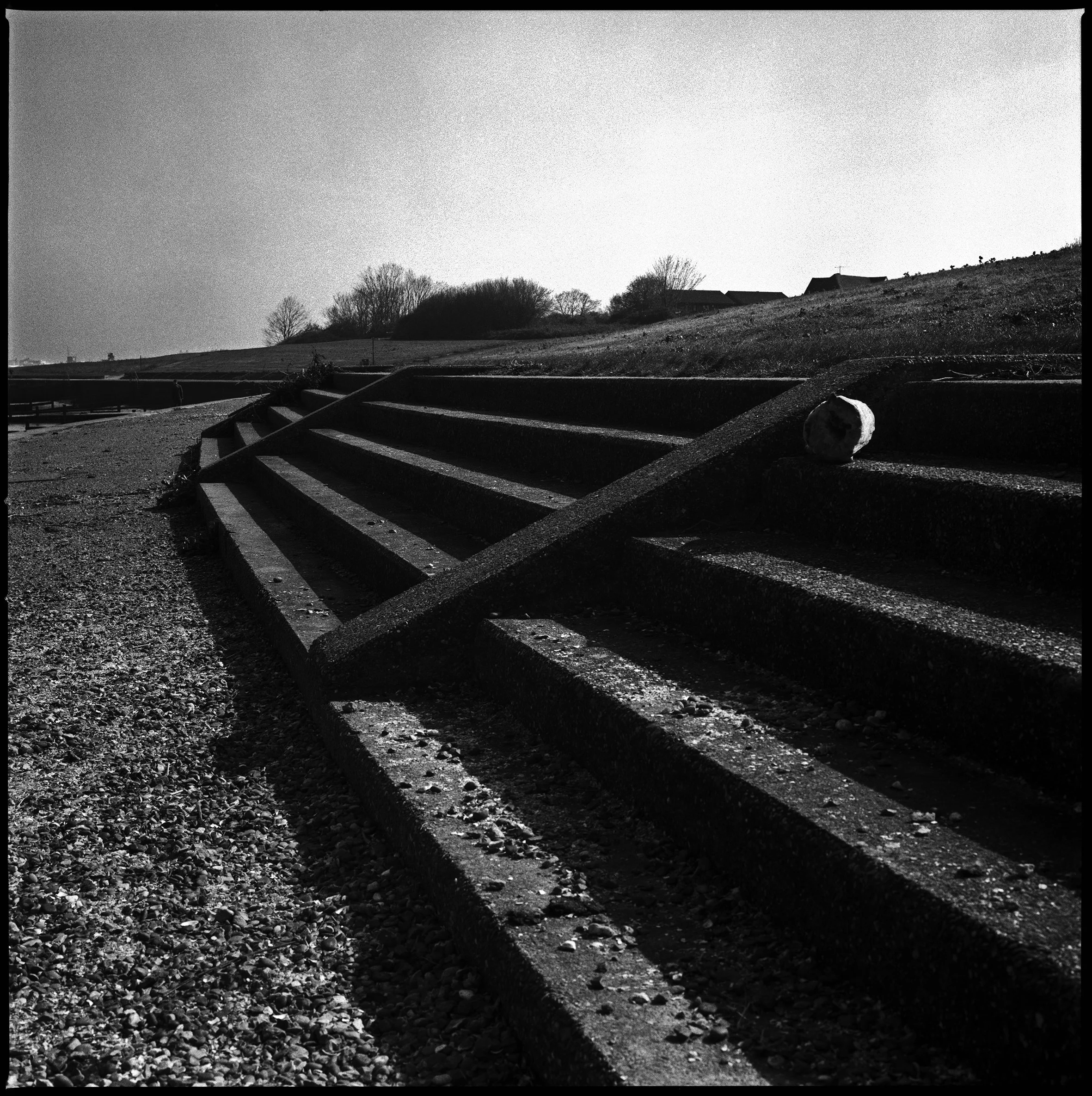 17 Grain adj copy.jpg