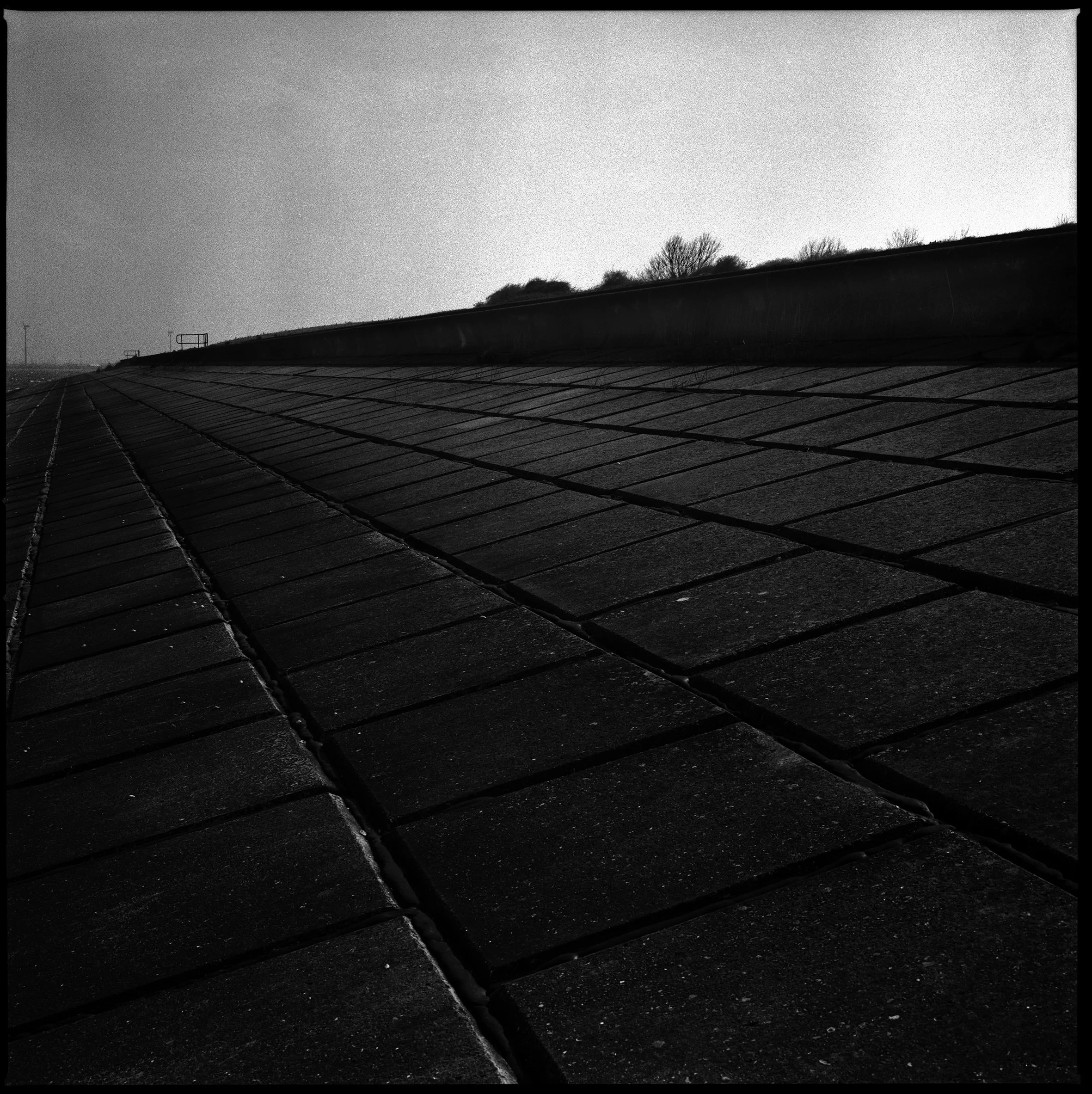 21 Grain adj copy.jpg