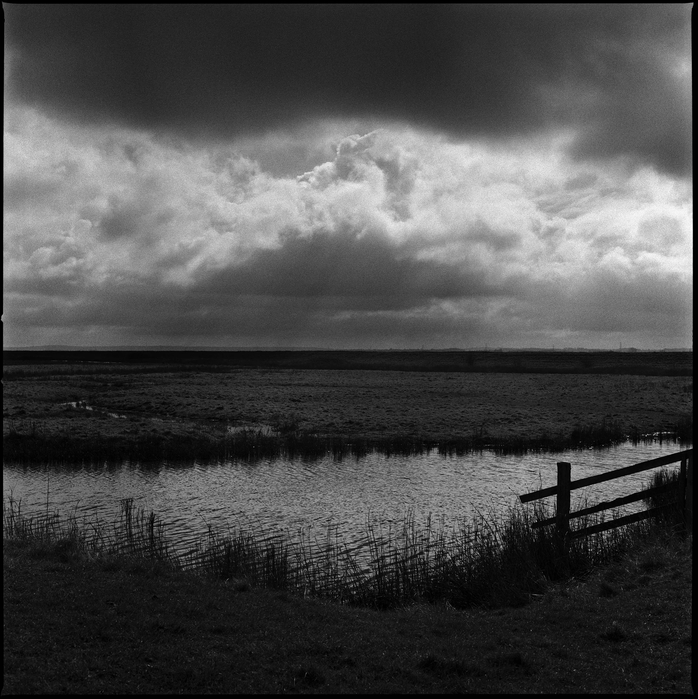 01 Elmley adj copy.jpg