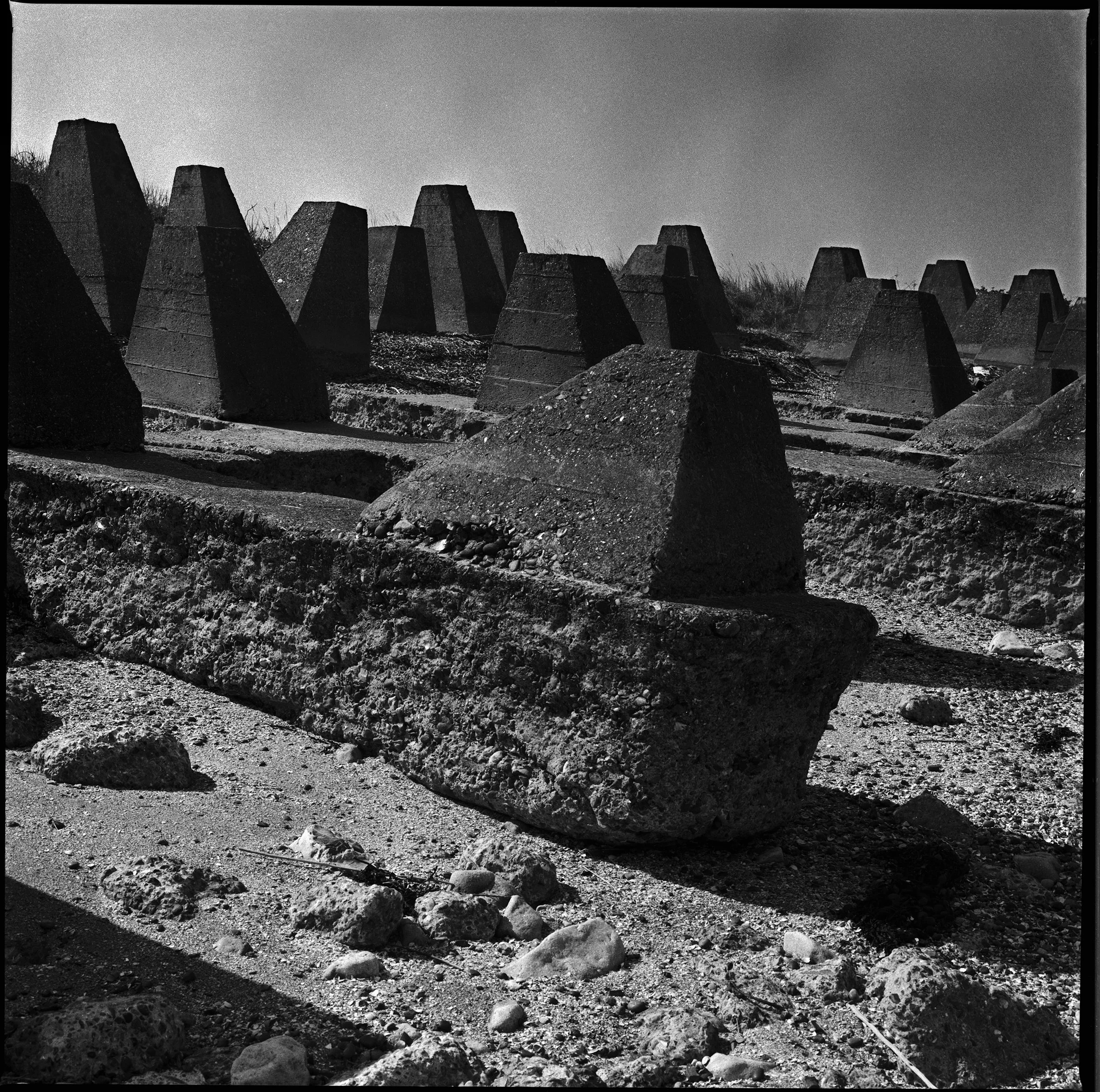 10 Grain adj copy.jpg