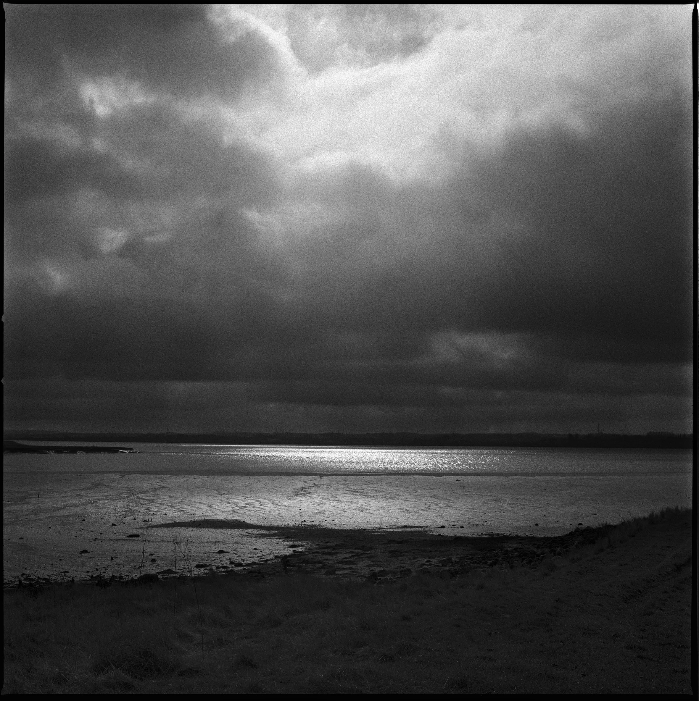 03 Elmley adj copy.jpg