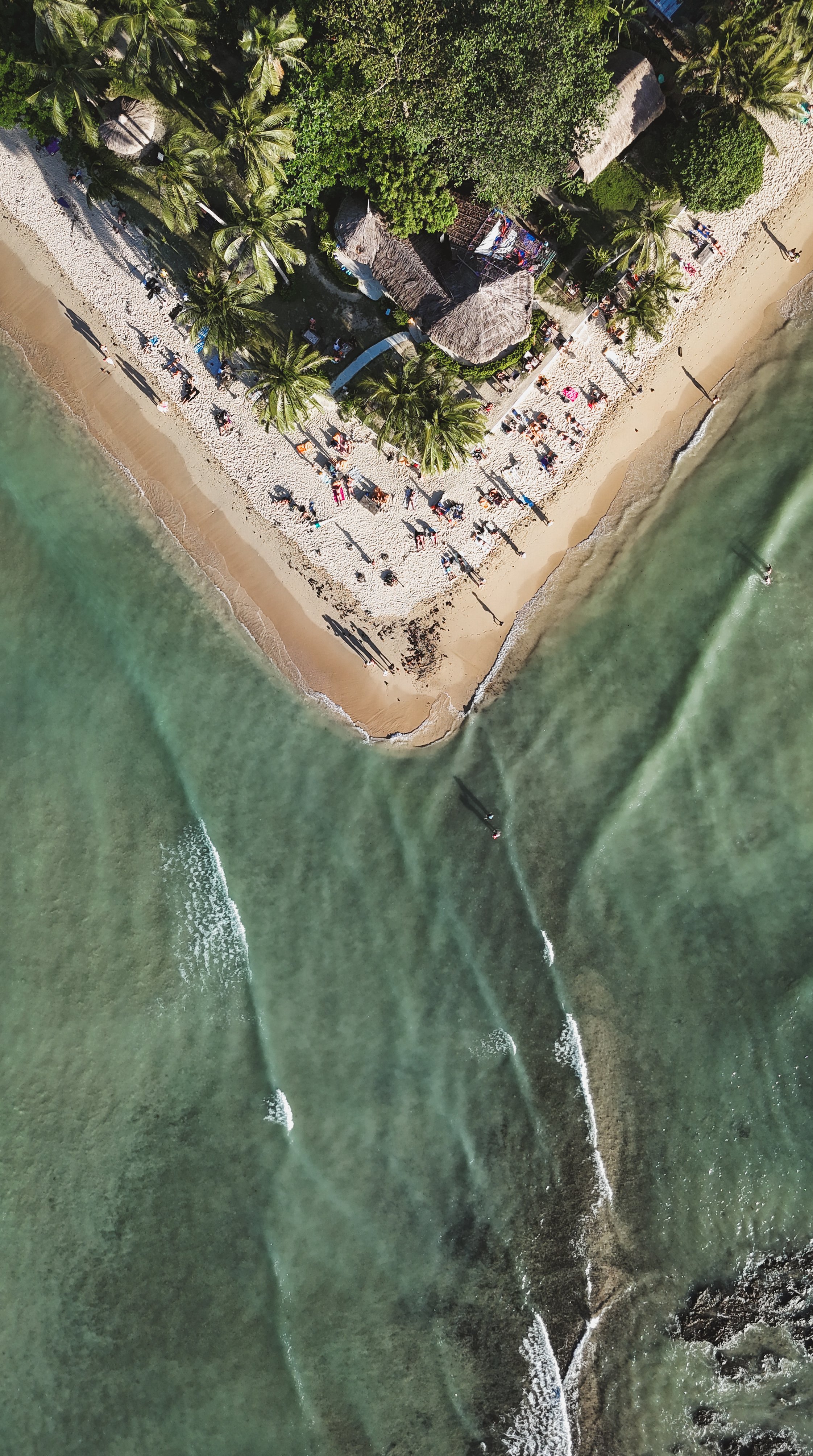 Aerial view of a beach with people relaxing and swimming, bordered by palm trees and thatched-roof structures.