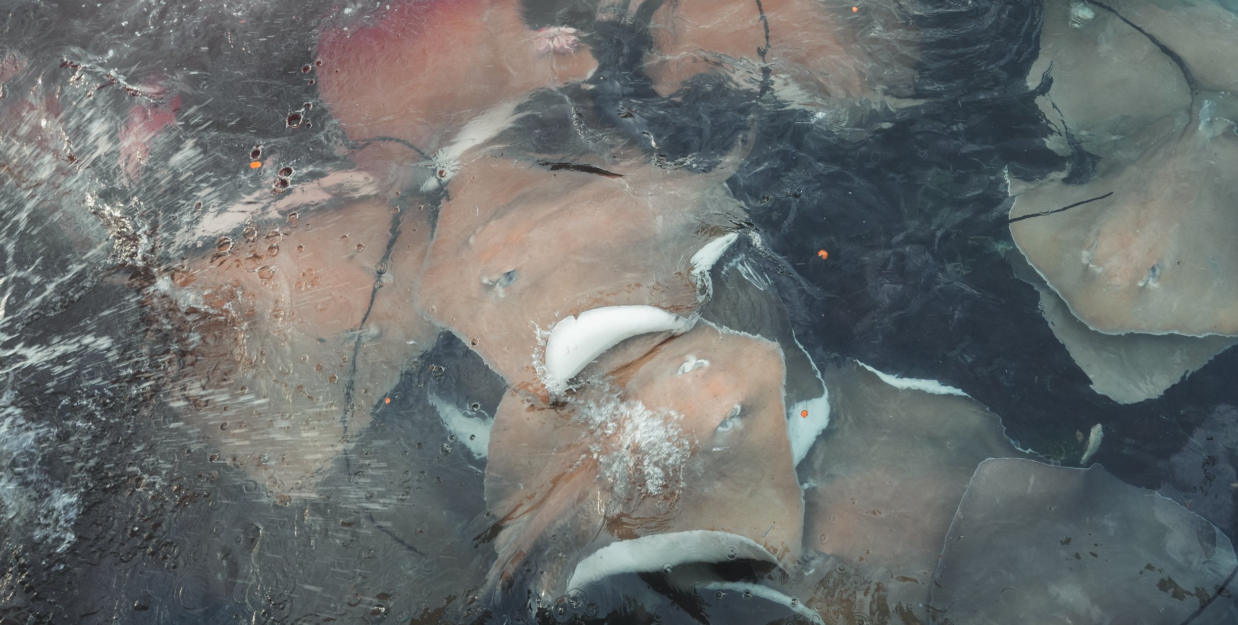 Several large rocks submerged in water, with splashes and bubbles, creating a dynamic and textured surface.