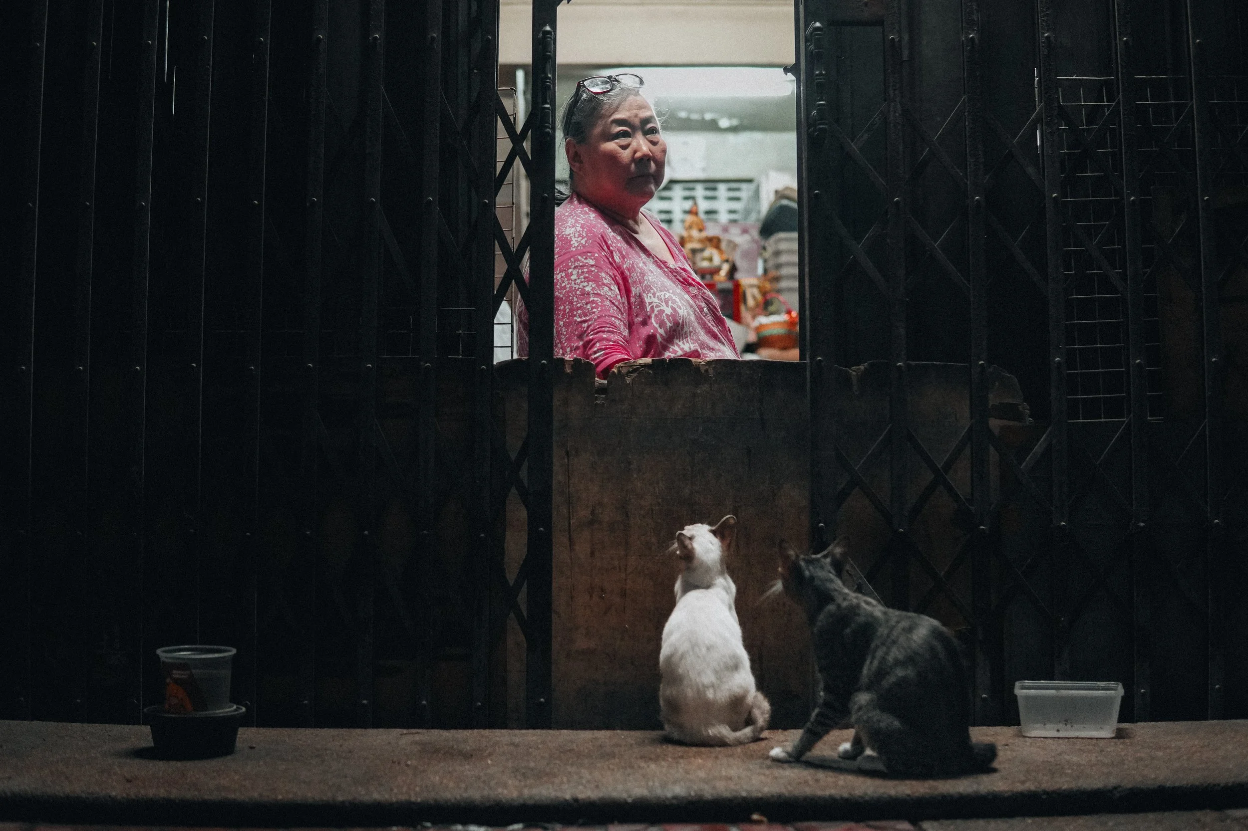 An elderly woman in a pink shirt looks through a small window at two cats, one white and one gray, sitting on the ground inside what appears to be a small shop or stall. There are containers with food or water on the ground near the cats.