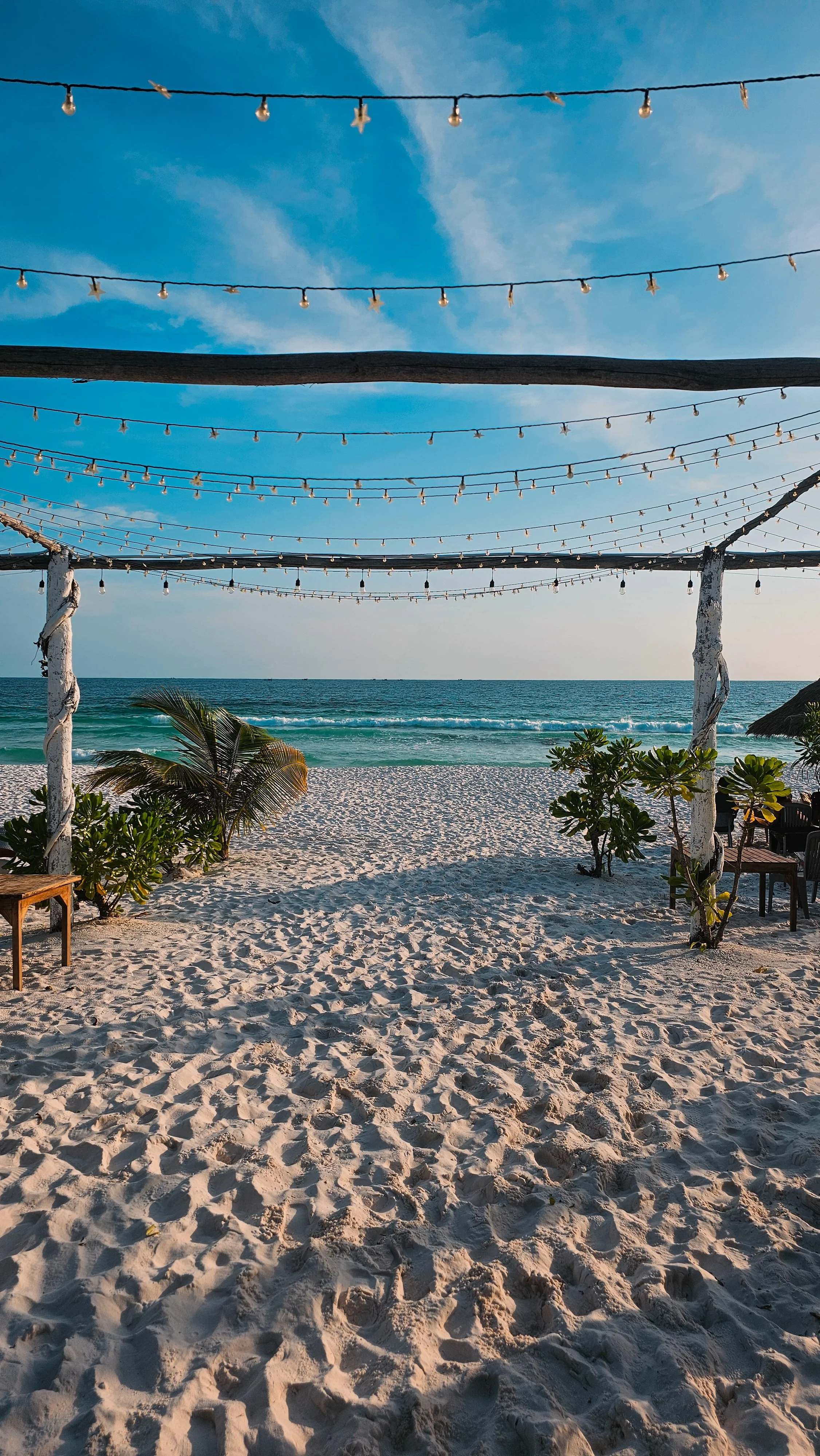 Beach scene with string lights overhead, sandy shore, palm trees, and ocean waves in the background.