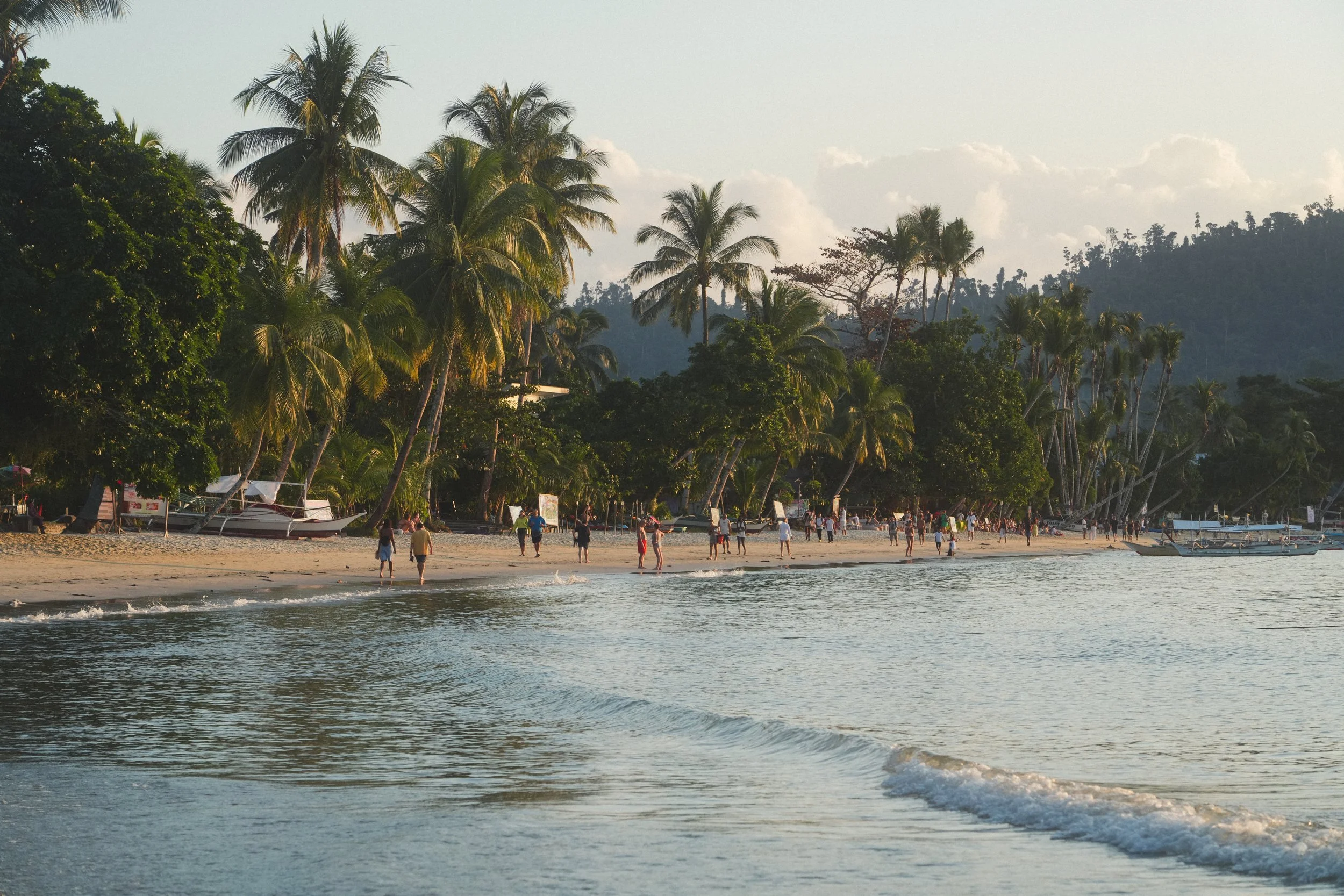 Beach with palm trees and people walking along the shoreline during dusk.