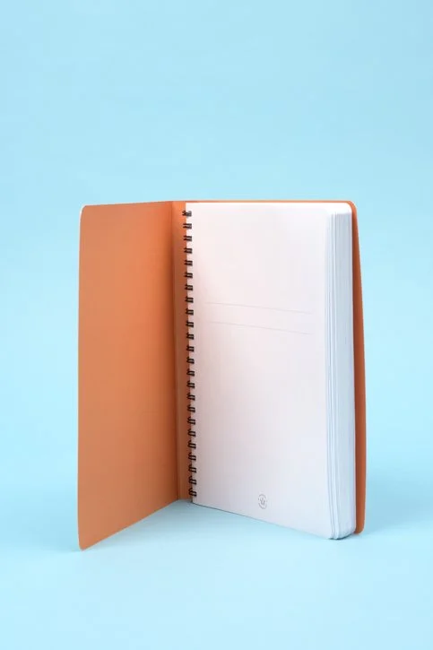 zam-4586-web.jpg