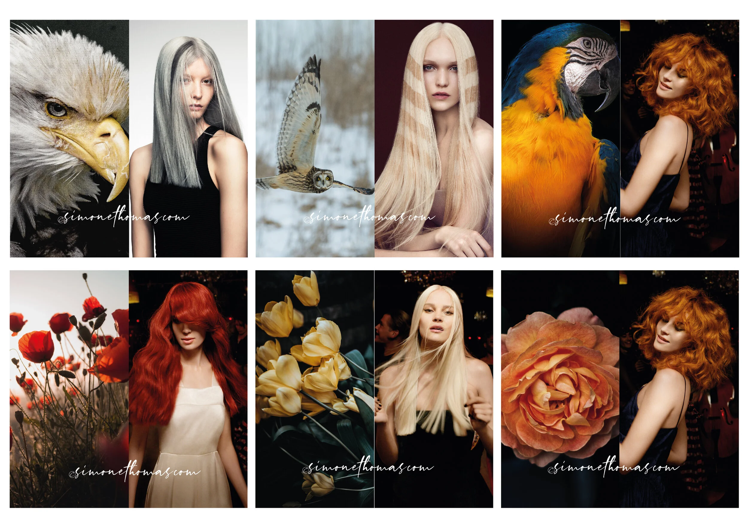 Social media campaign 