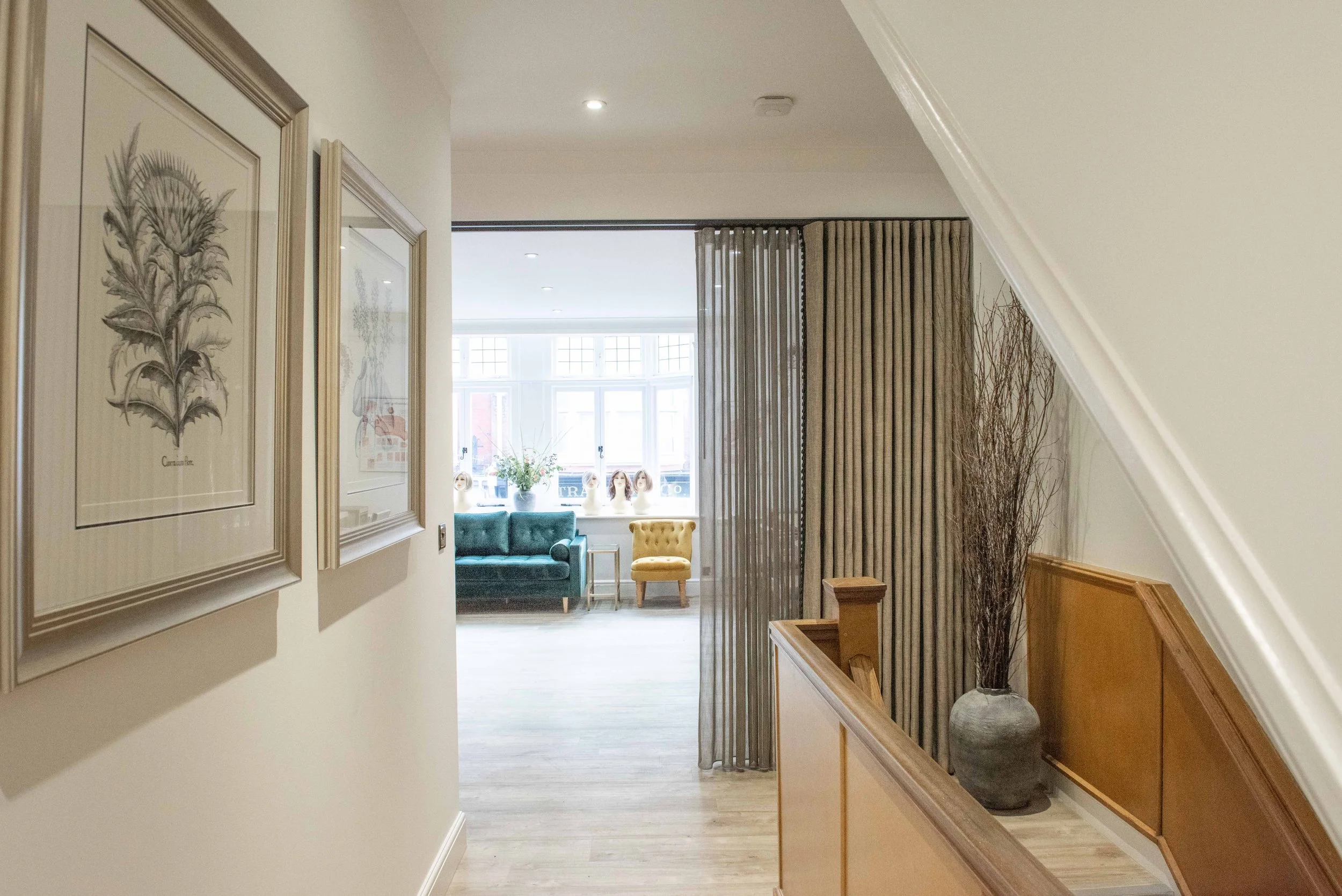 Detail - Anatomical drawings