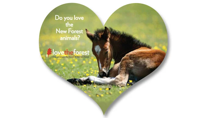 3.heart shape flyer.jpg