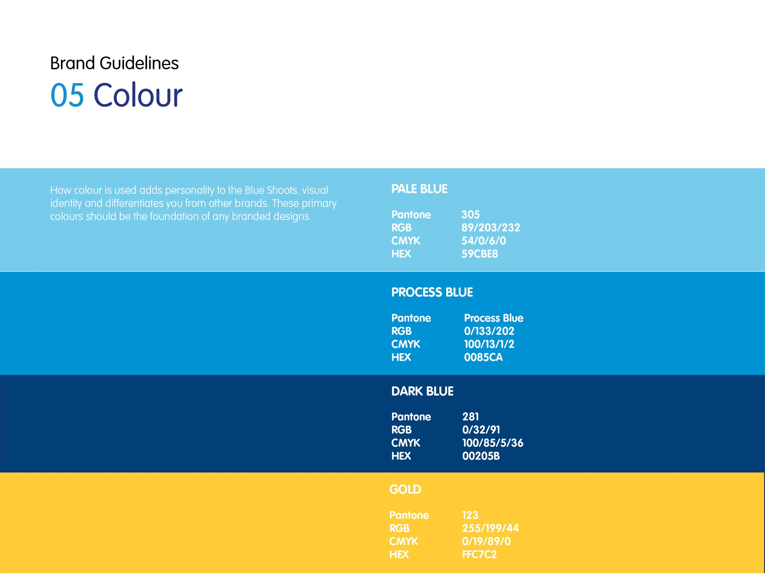 Blue Shoots brand 3.jpg