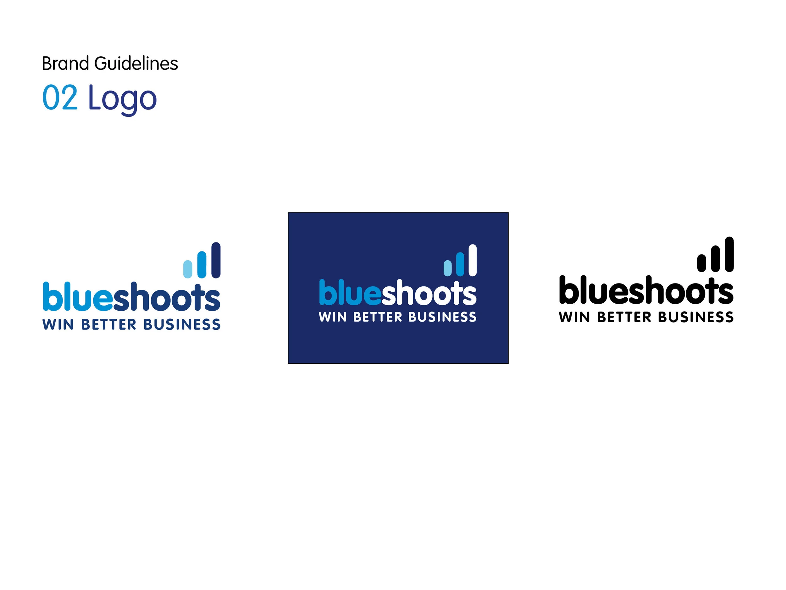 Blue Shoots brand 2.jpg