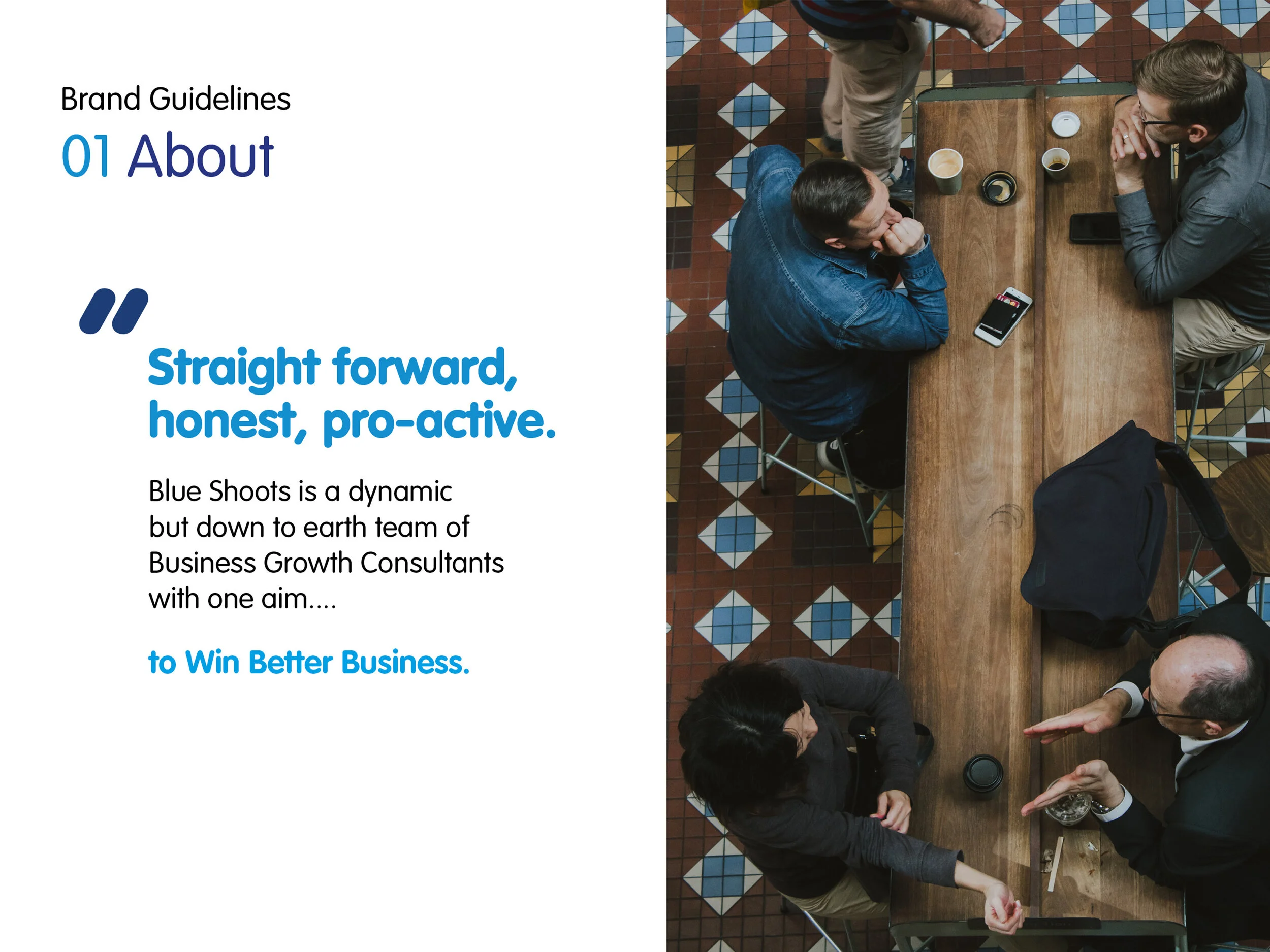 Blue Shoots brand 1.jpg