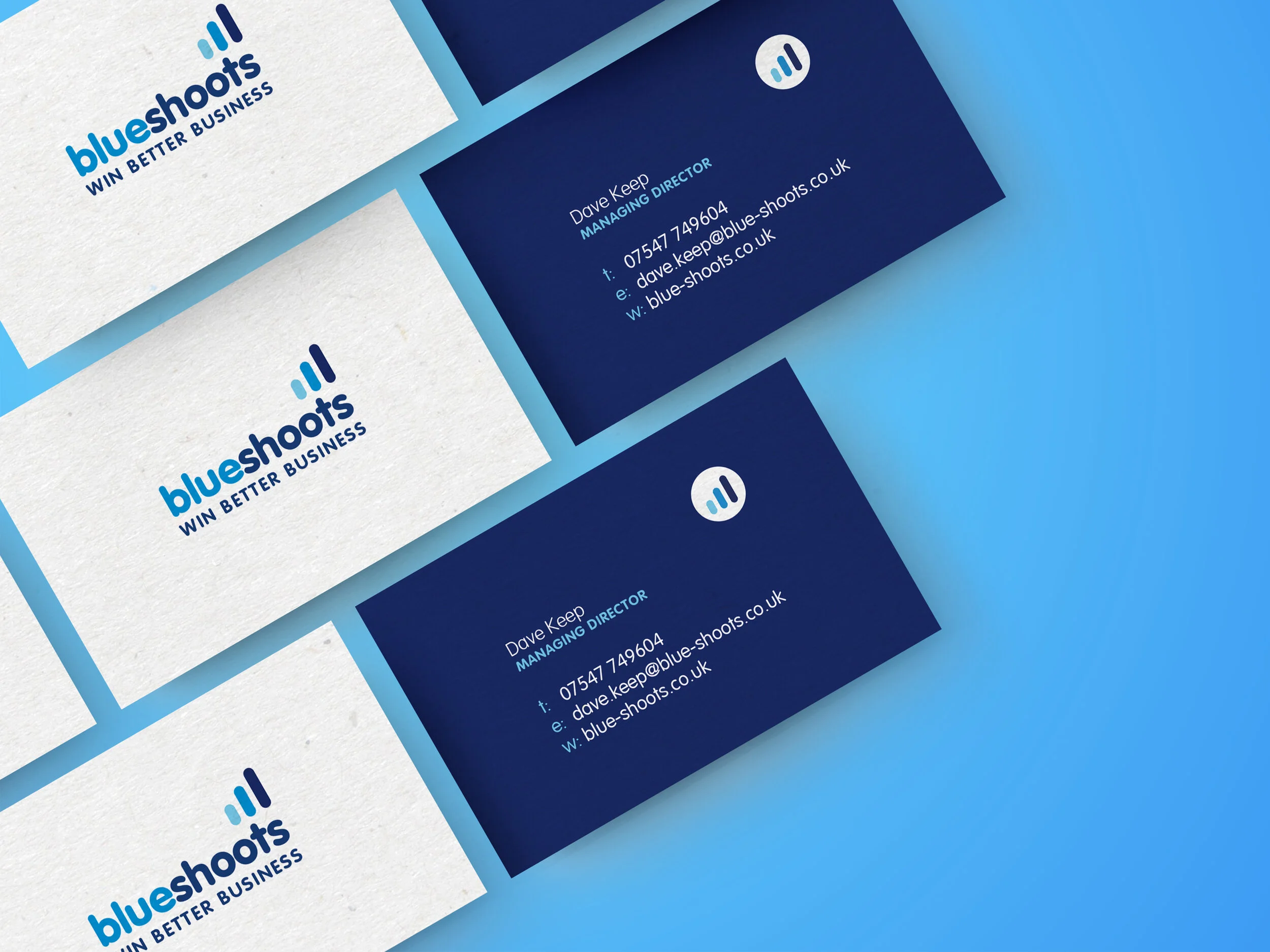Blue Shoots cards.jpg