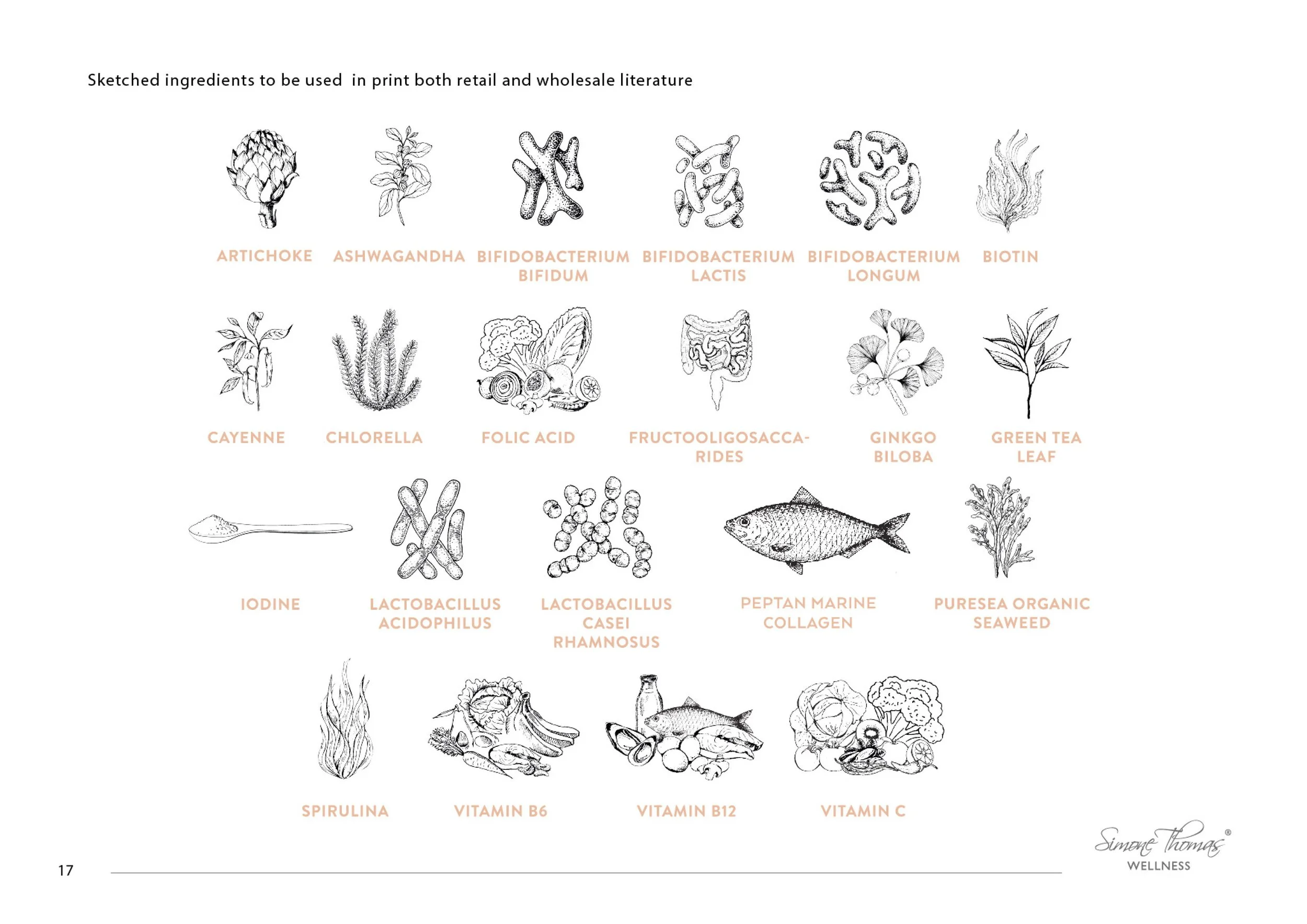STW Brand Guidelines 2023-17.jpg