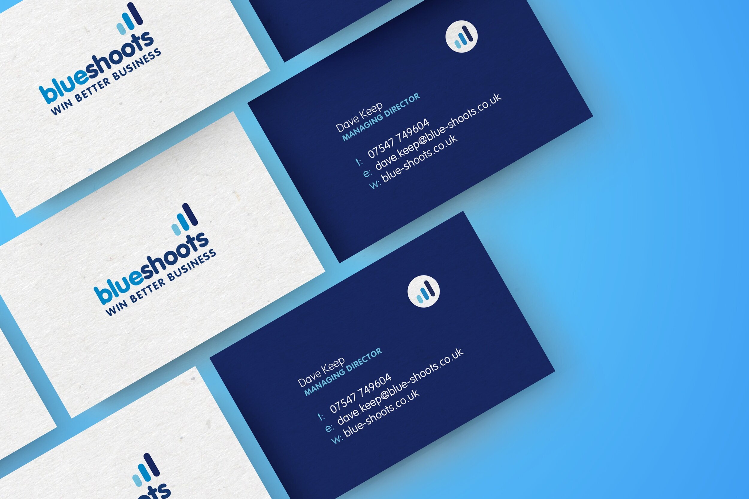 Brad Identity & Print Design Case Study, Blue Shoots