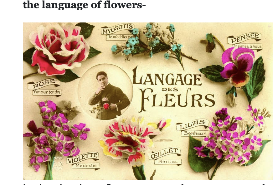 The Fascinating History of Flowers as Gifts