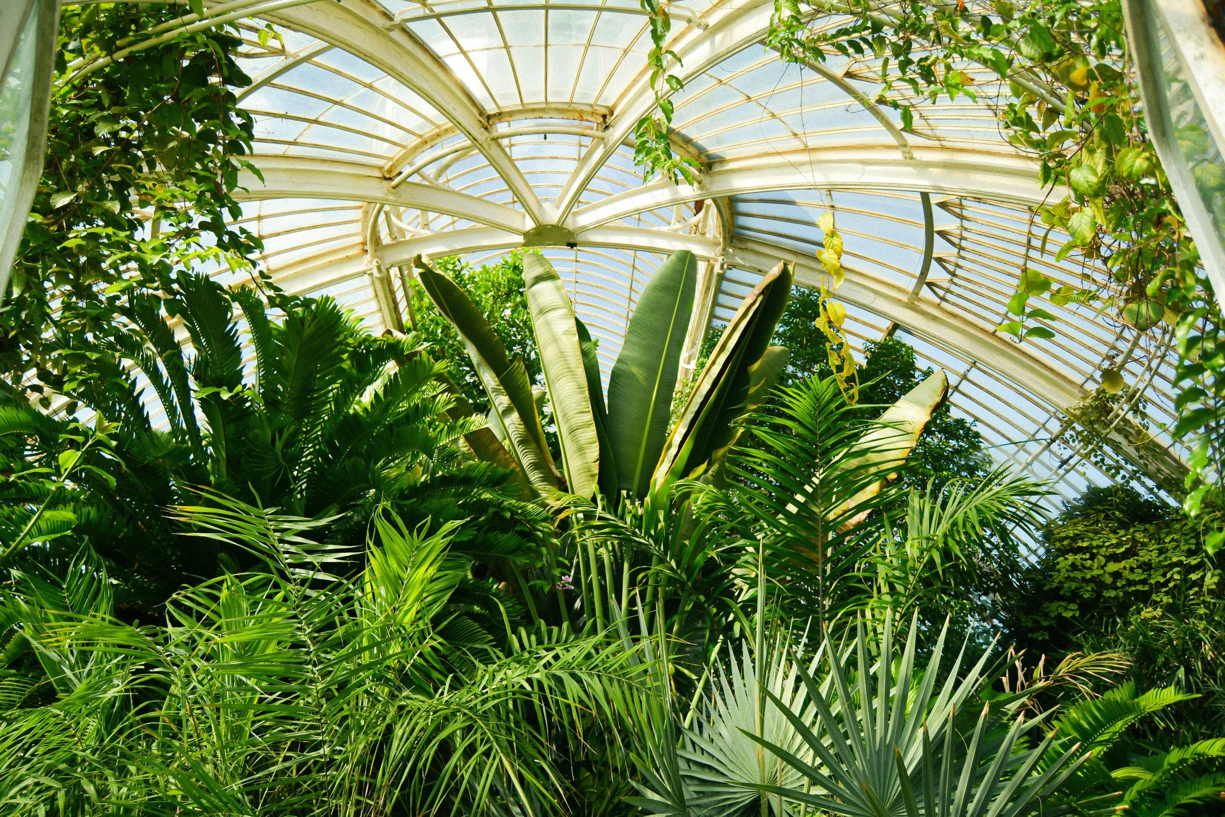 Route 02 - Kew Gardens Self-Guided Walk