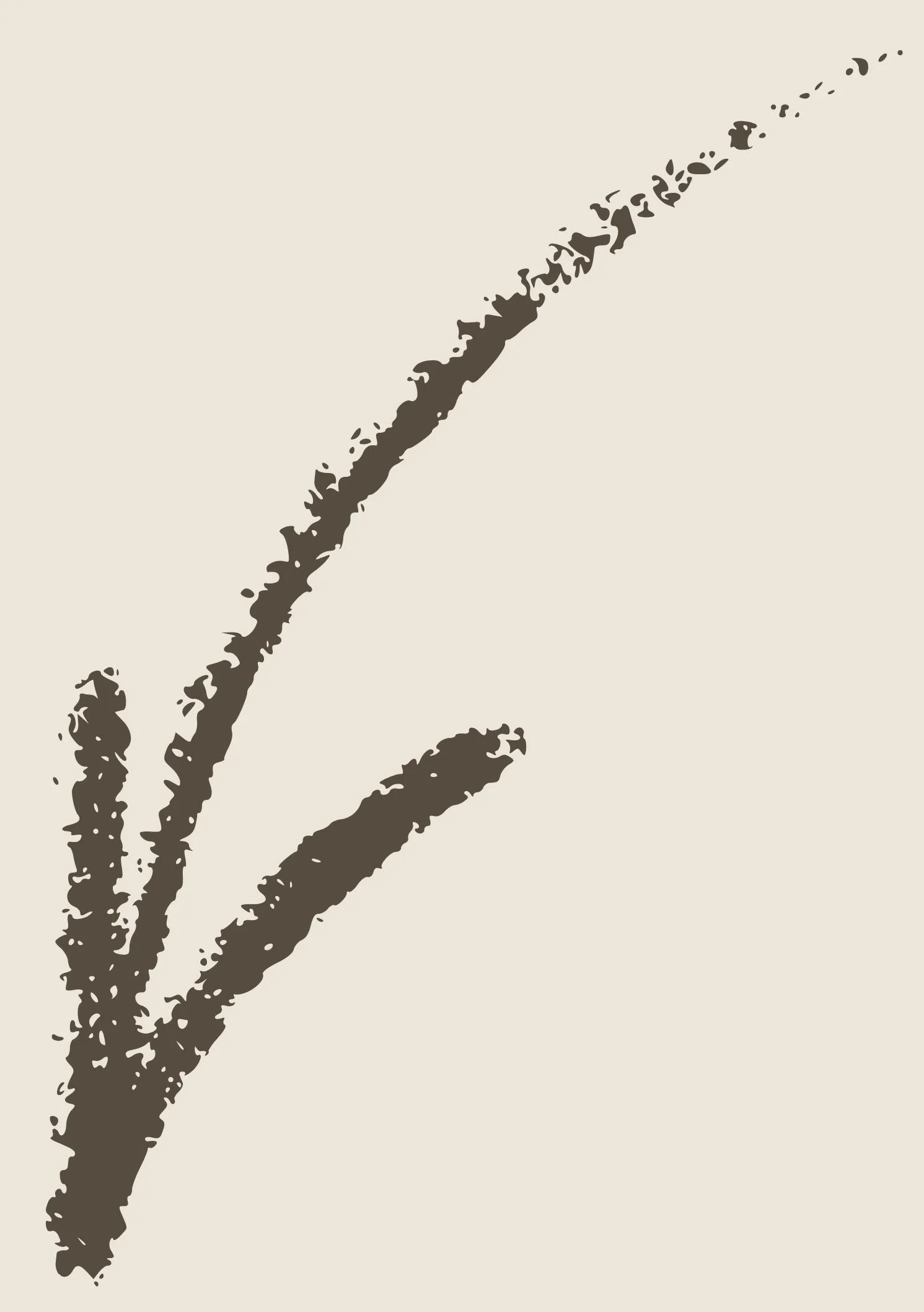 Arrow Secret Spots Tours Hidden Gems Slef Walking