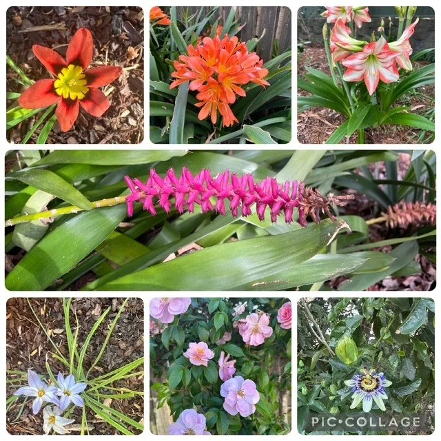 flower collage.jpg